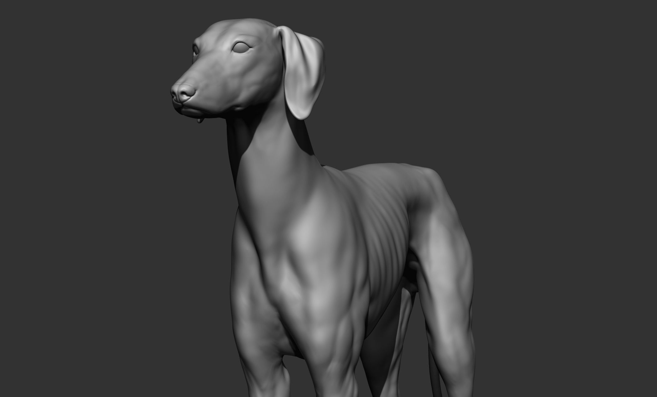 Domestic animal collection 3D model_91