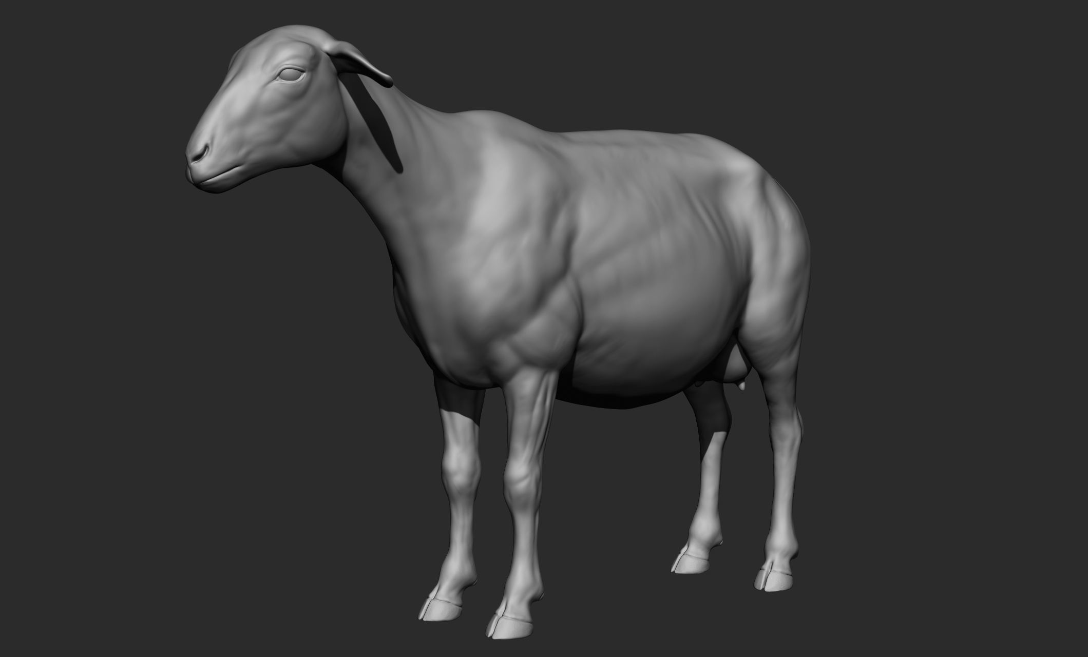 Domestic animal collection 3D model_68