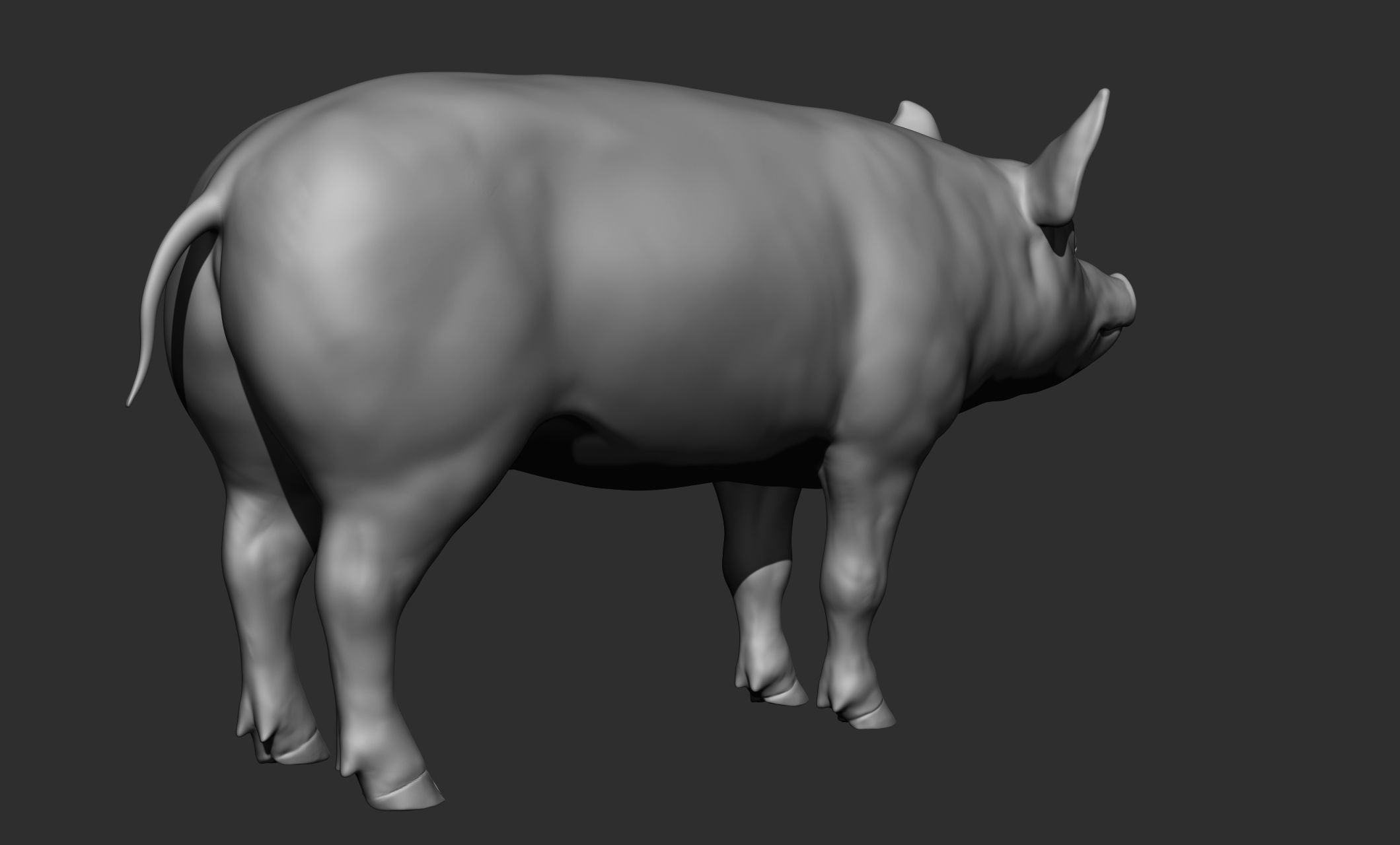 Domestic animal collection 3D model_97
