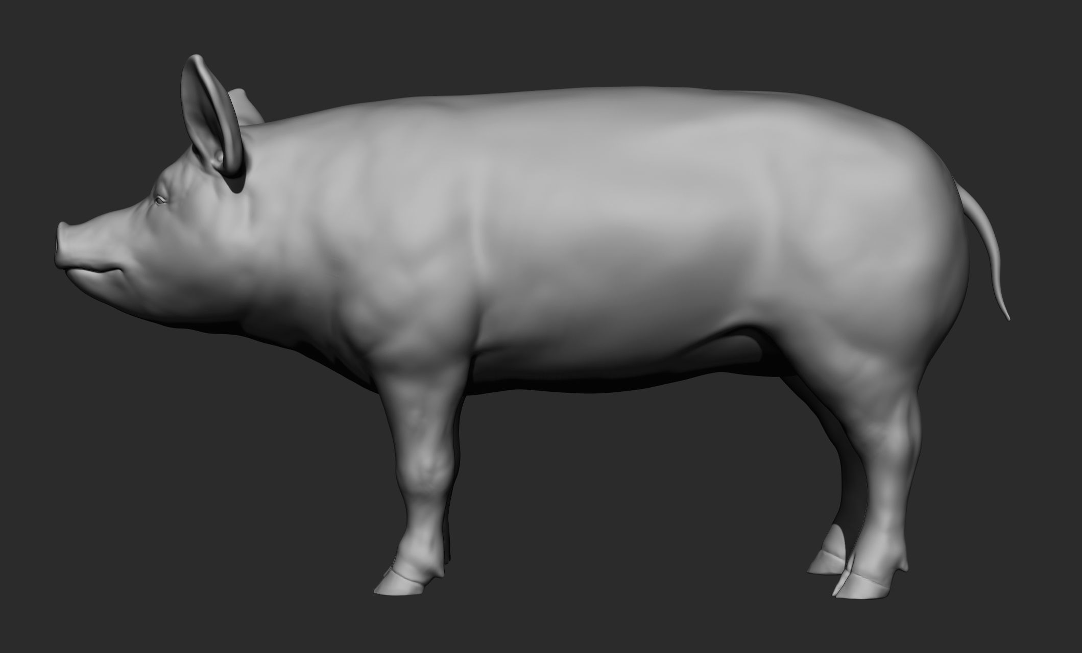 Domestic animal collection 3D model_95