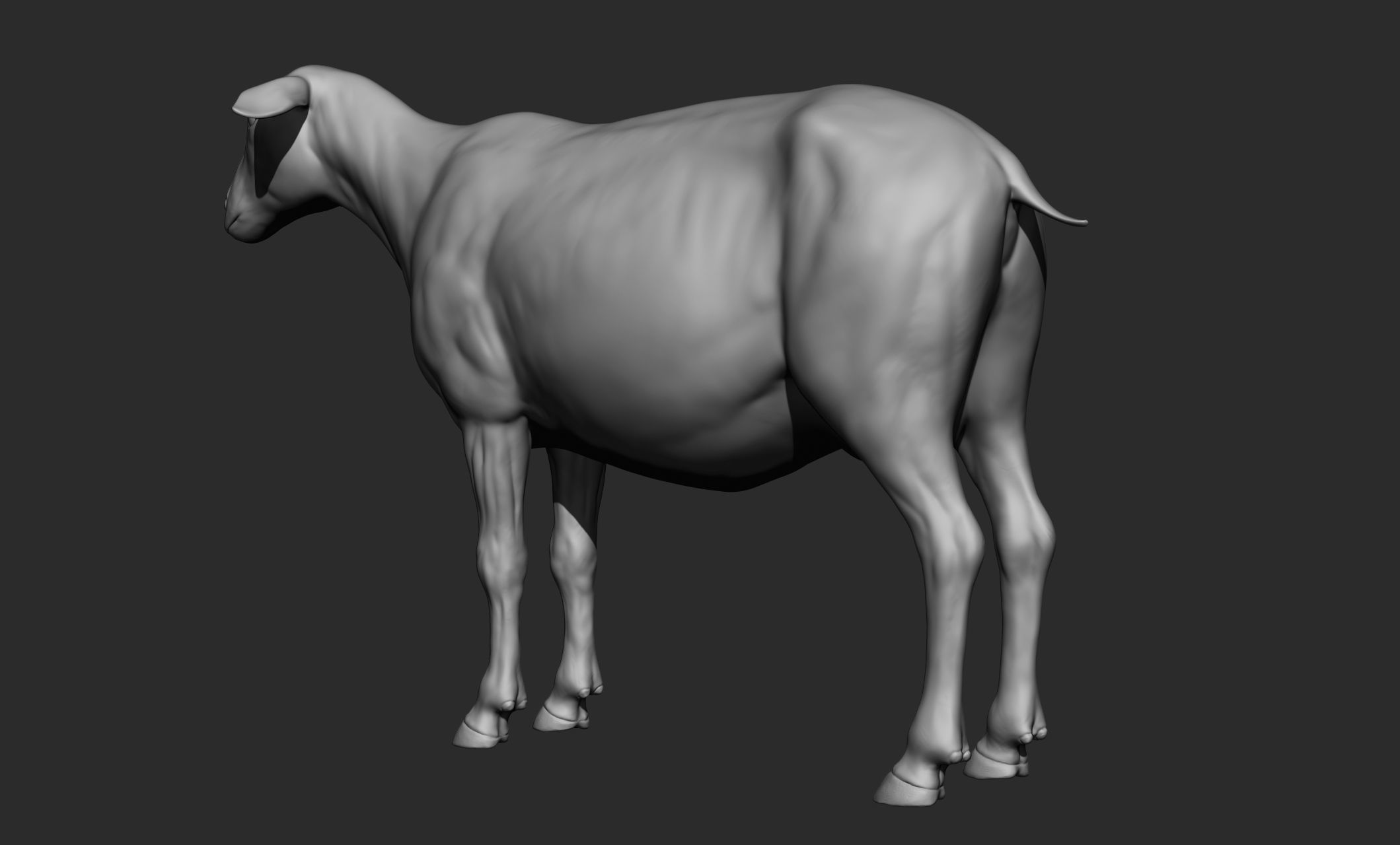 Domestic animal collection 3D model_70
