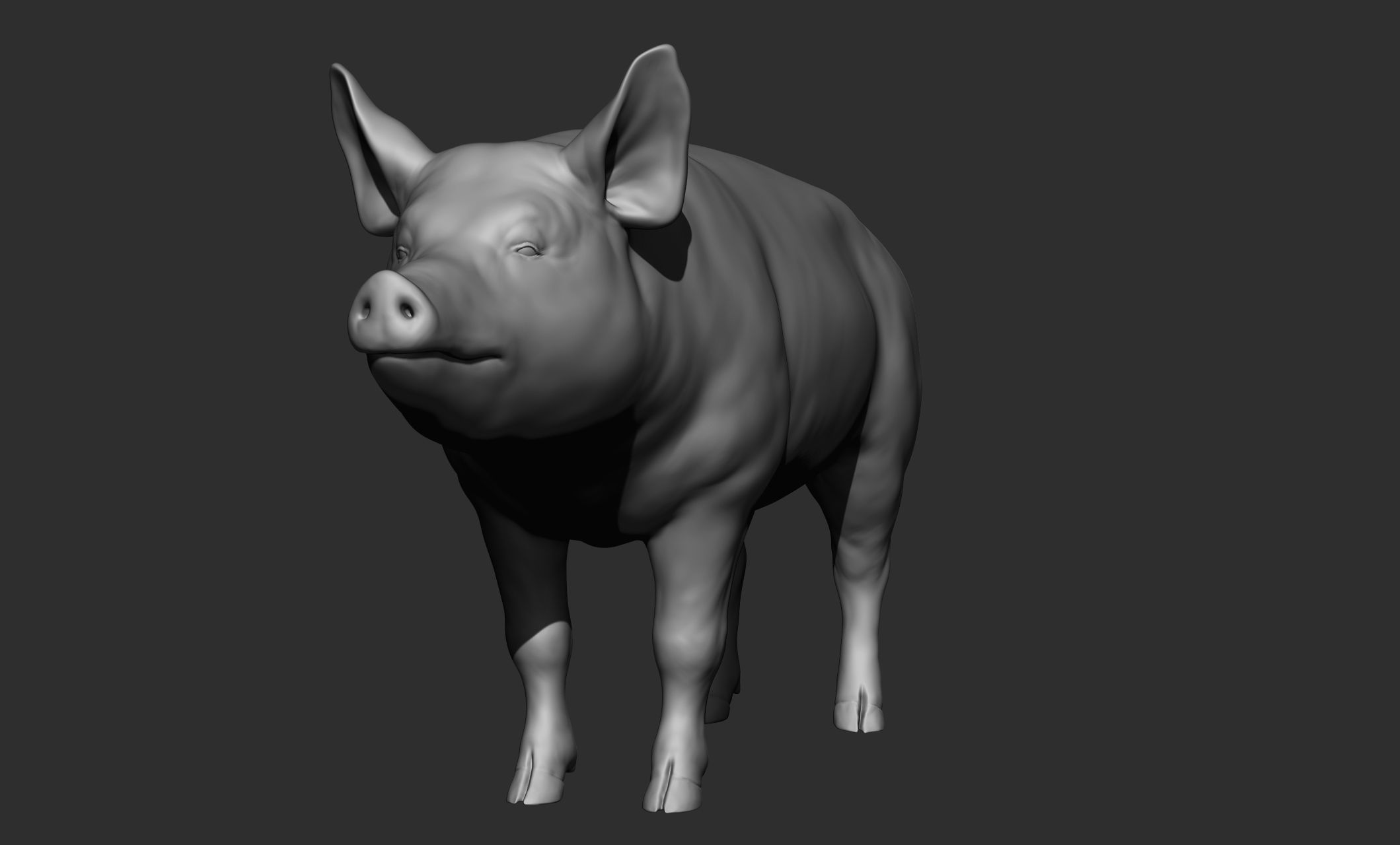 Domestic animal collection 3D model_100