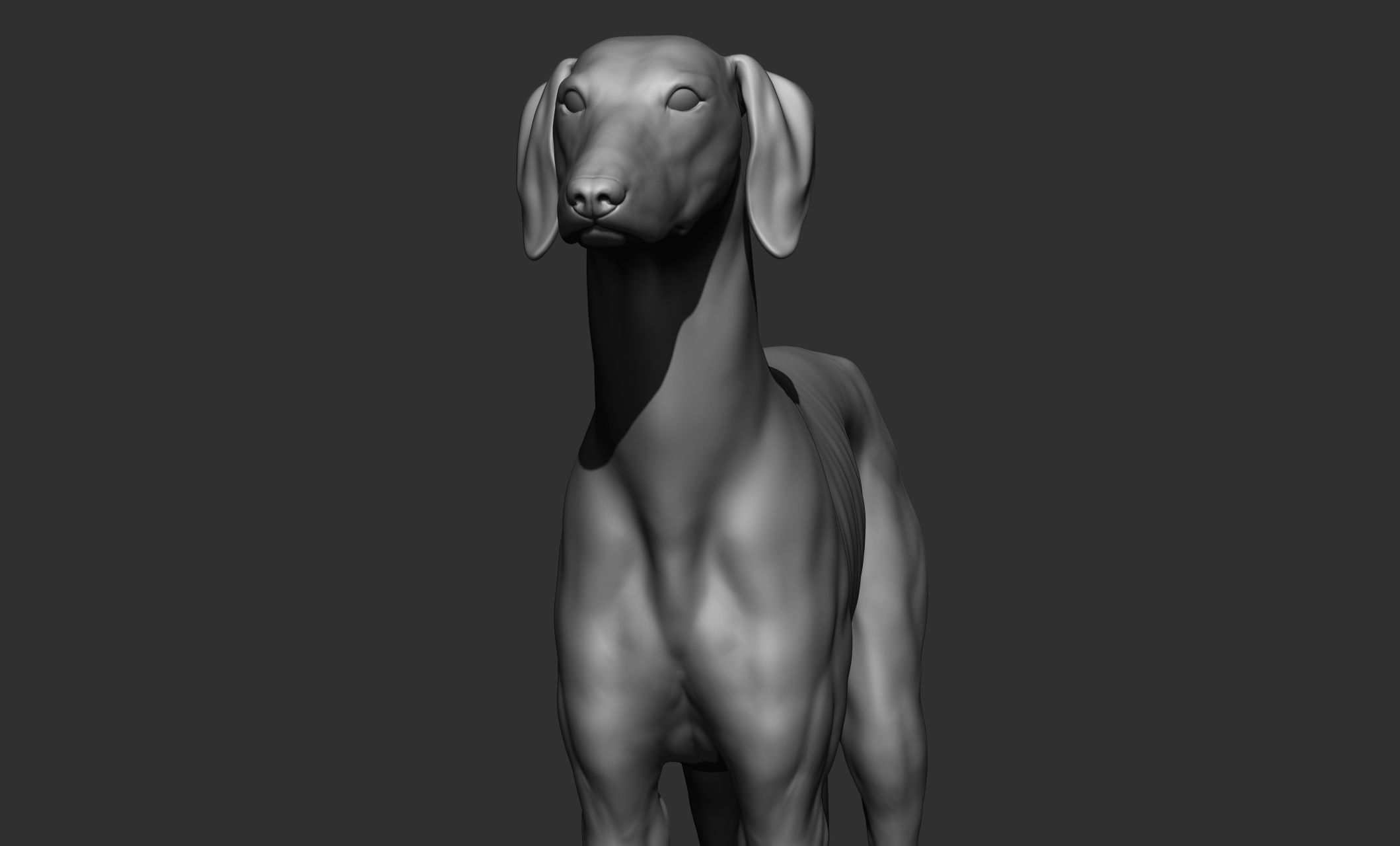 Domestic animal collection 3D model_92