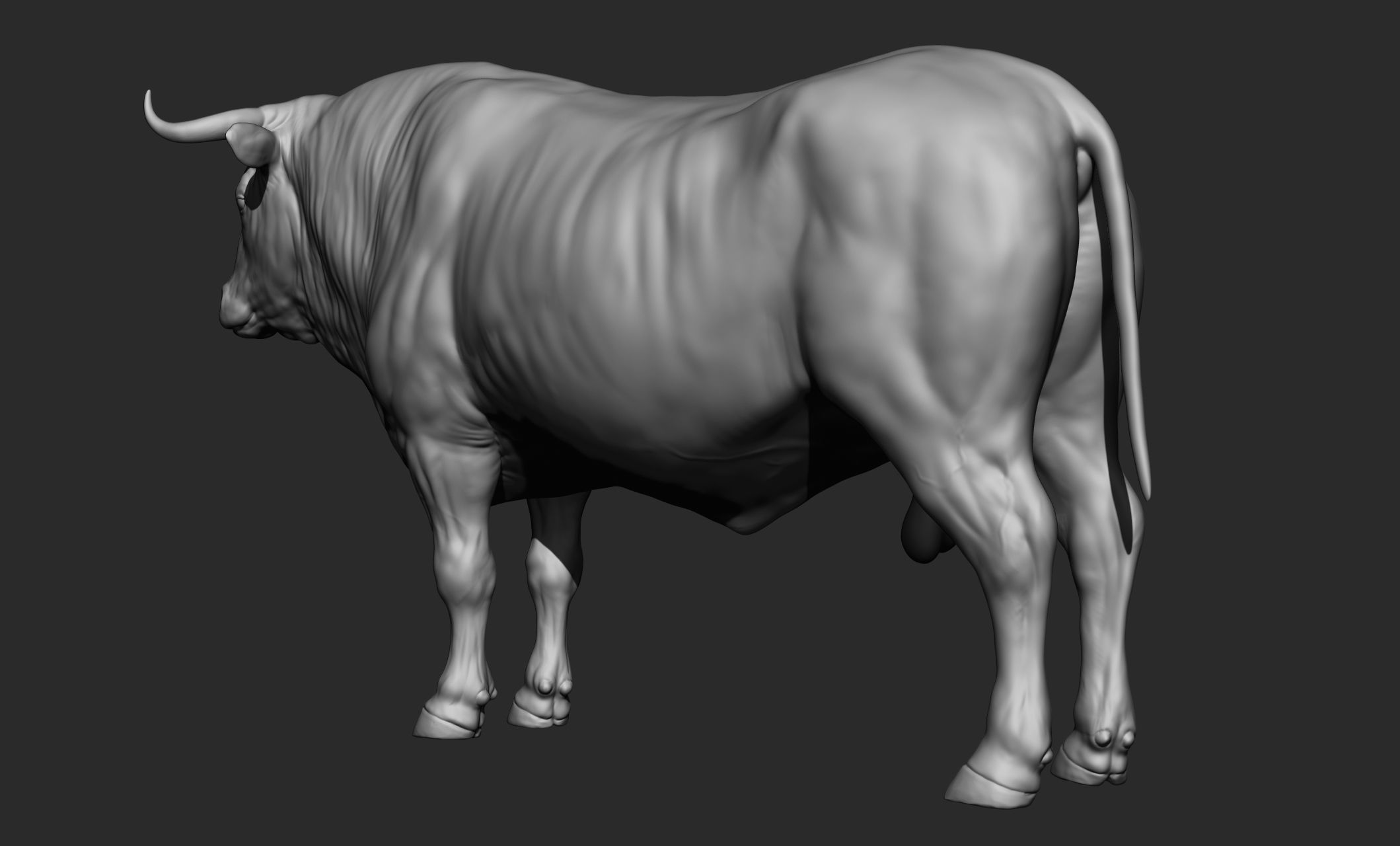 Domestic animal collection 3D model_29