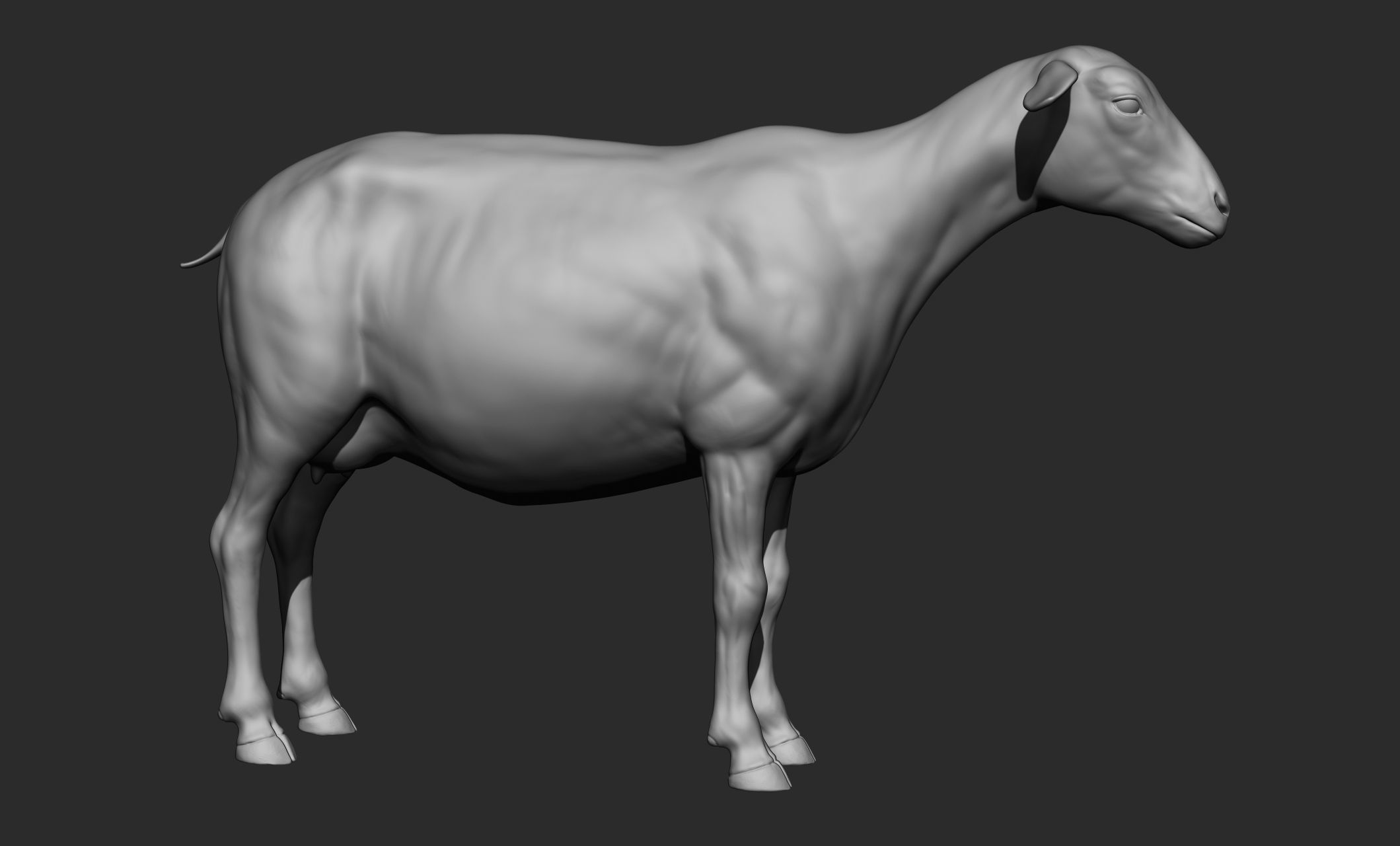 Domestic animal collection 3D model_72