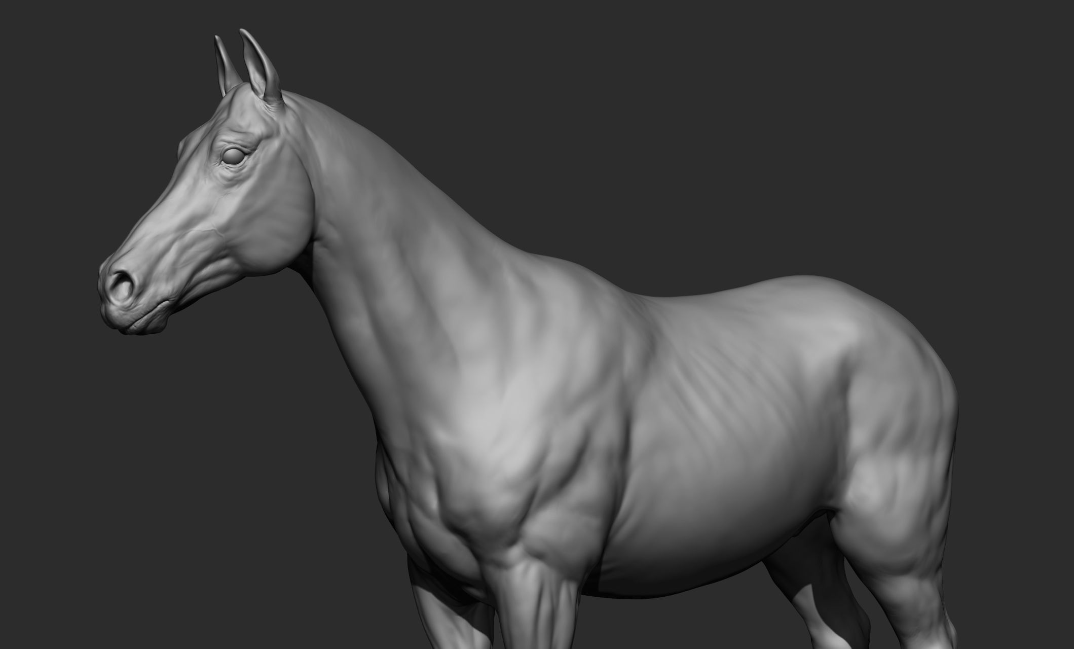 Domestic animal collection 3D model_20