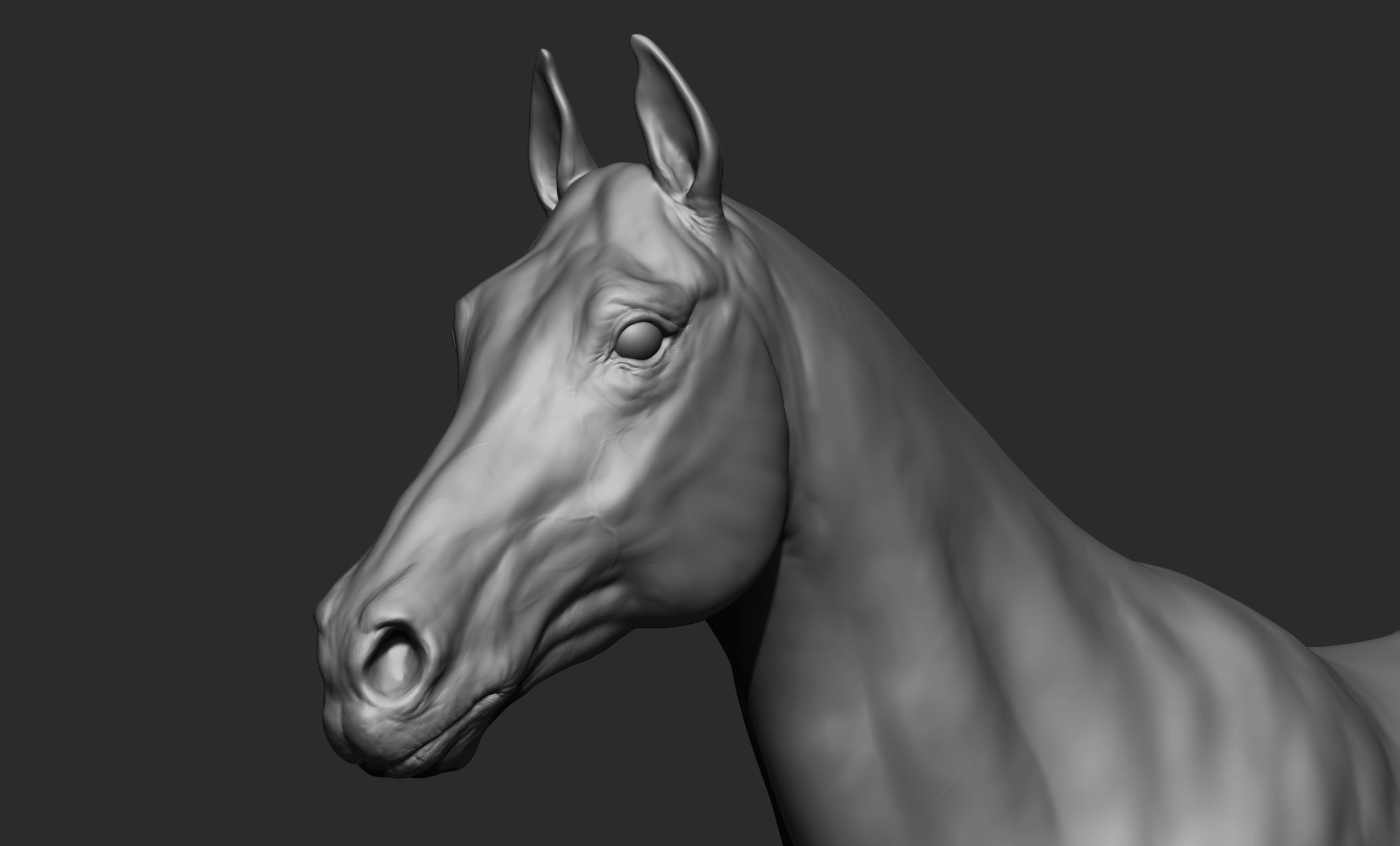Domestic animal collection 3D model_22
