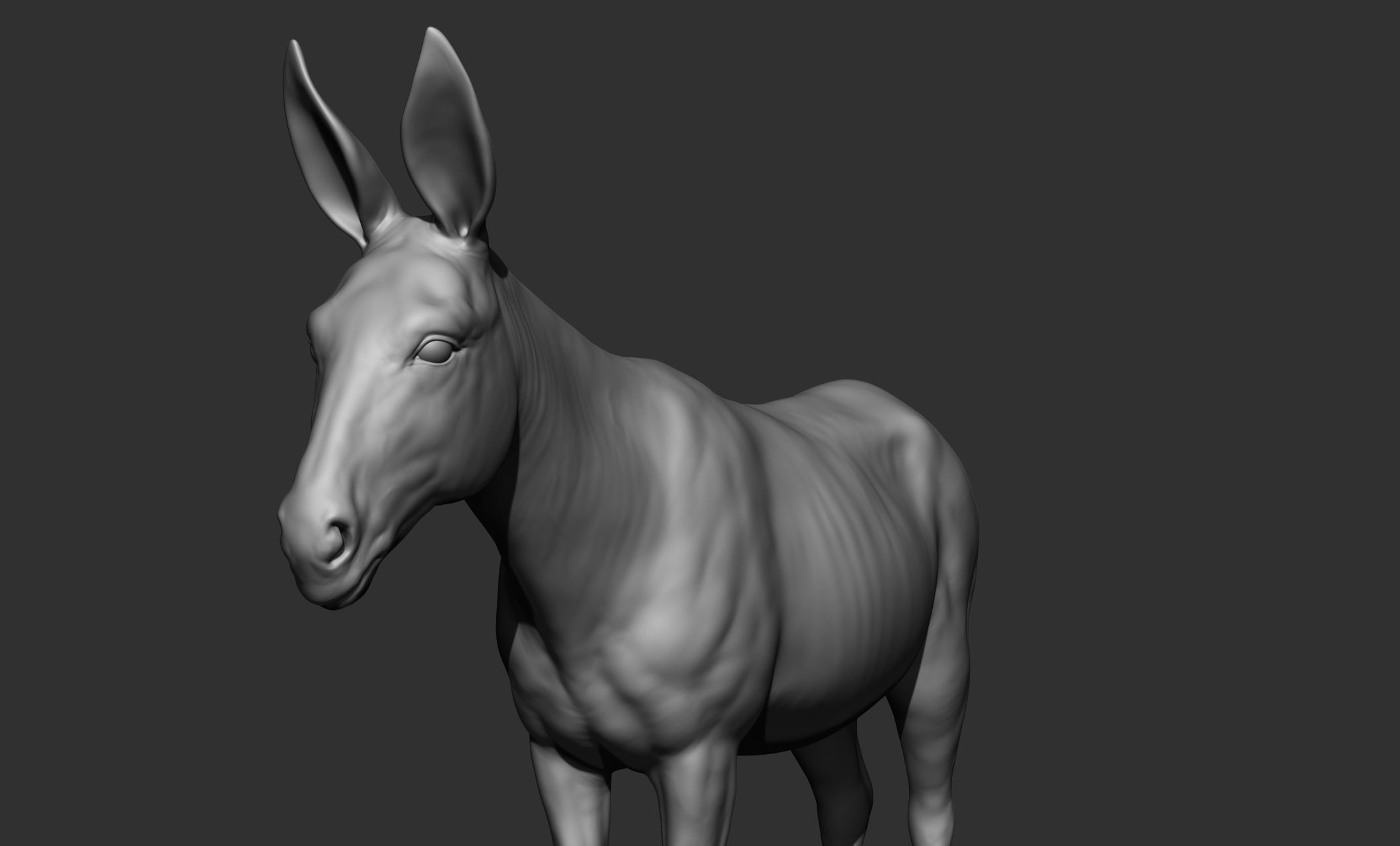 Domestic animal collection 3D model_66