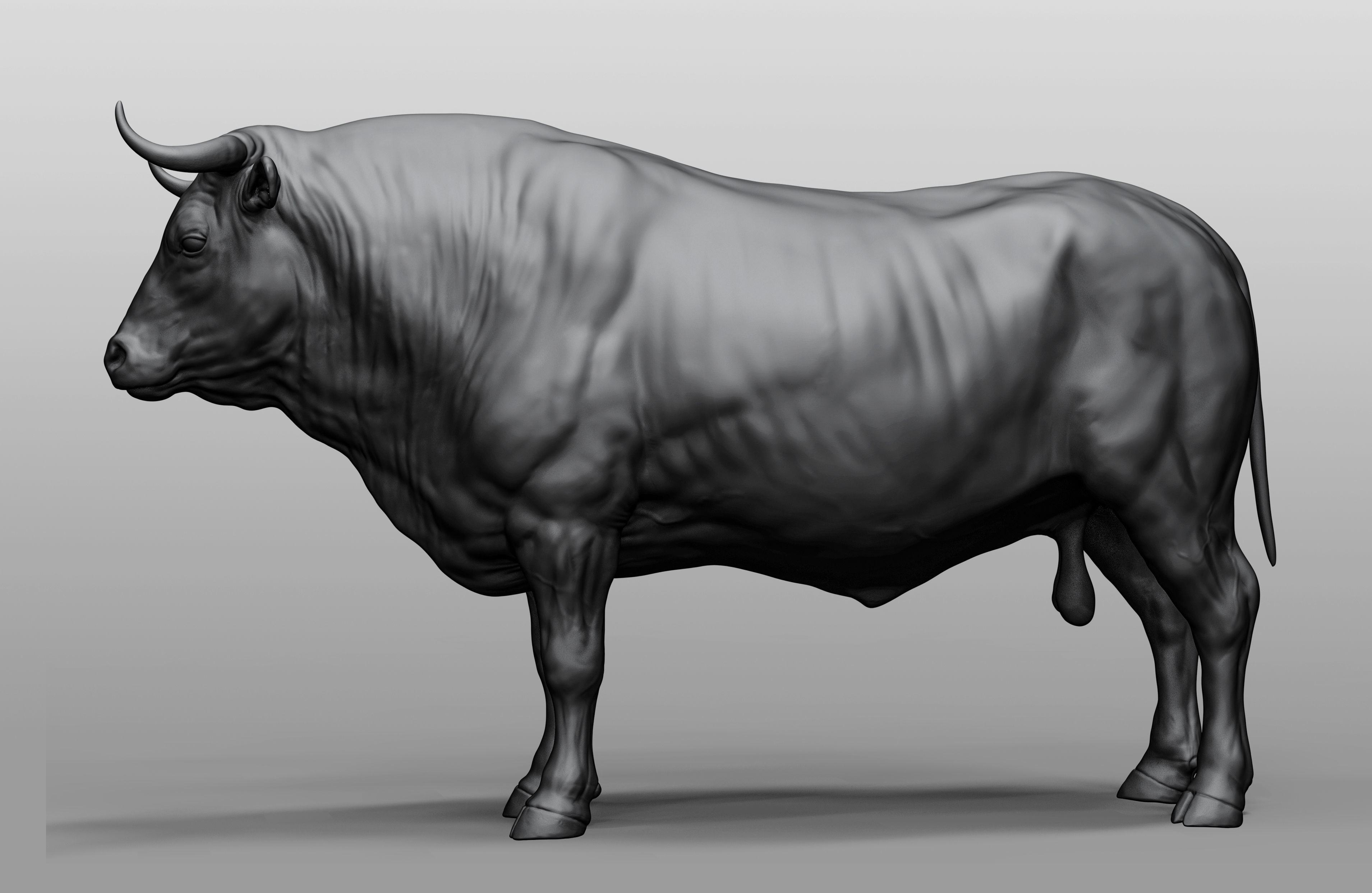 Domestic animal collection 3D model_2