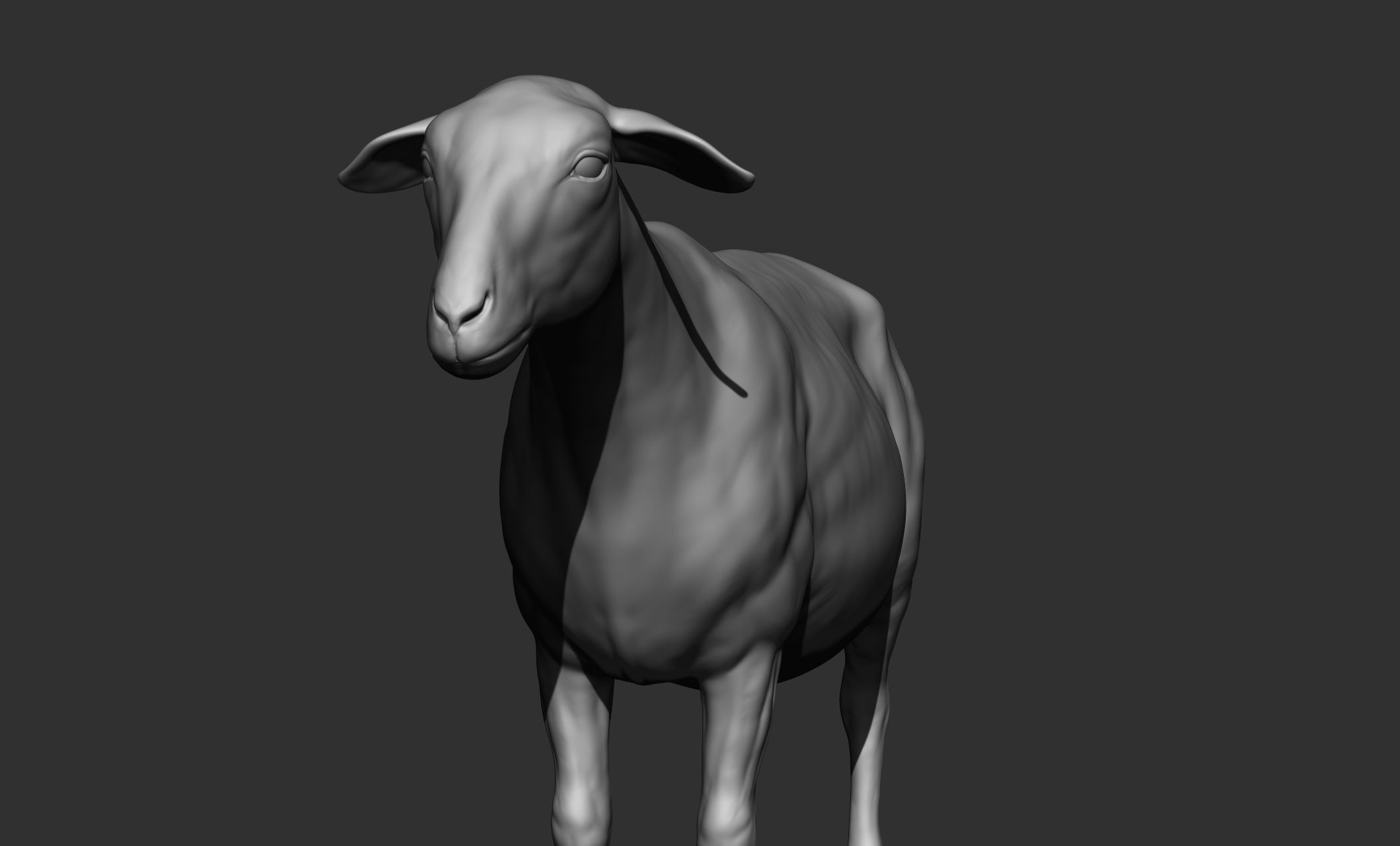 Domestic animal collection 3D model_74