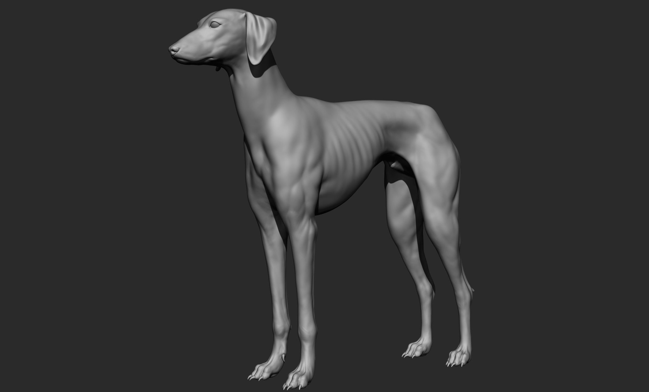 Domestic animal collection 3D model_84