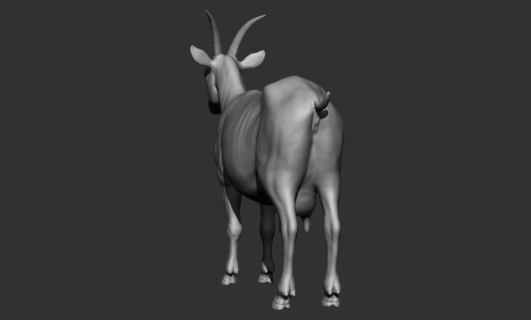 Domestic animal collection 3D model_78