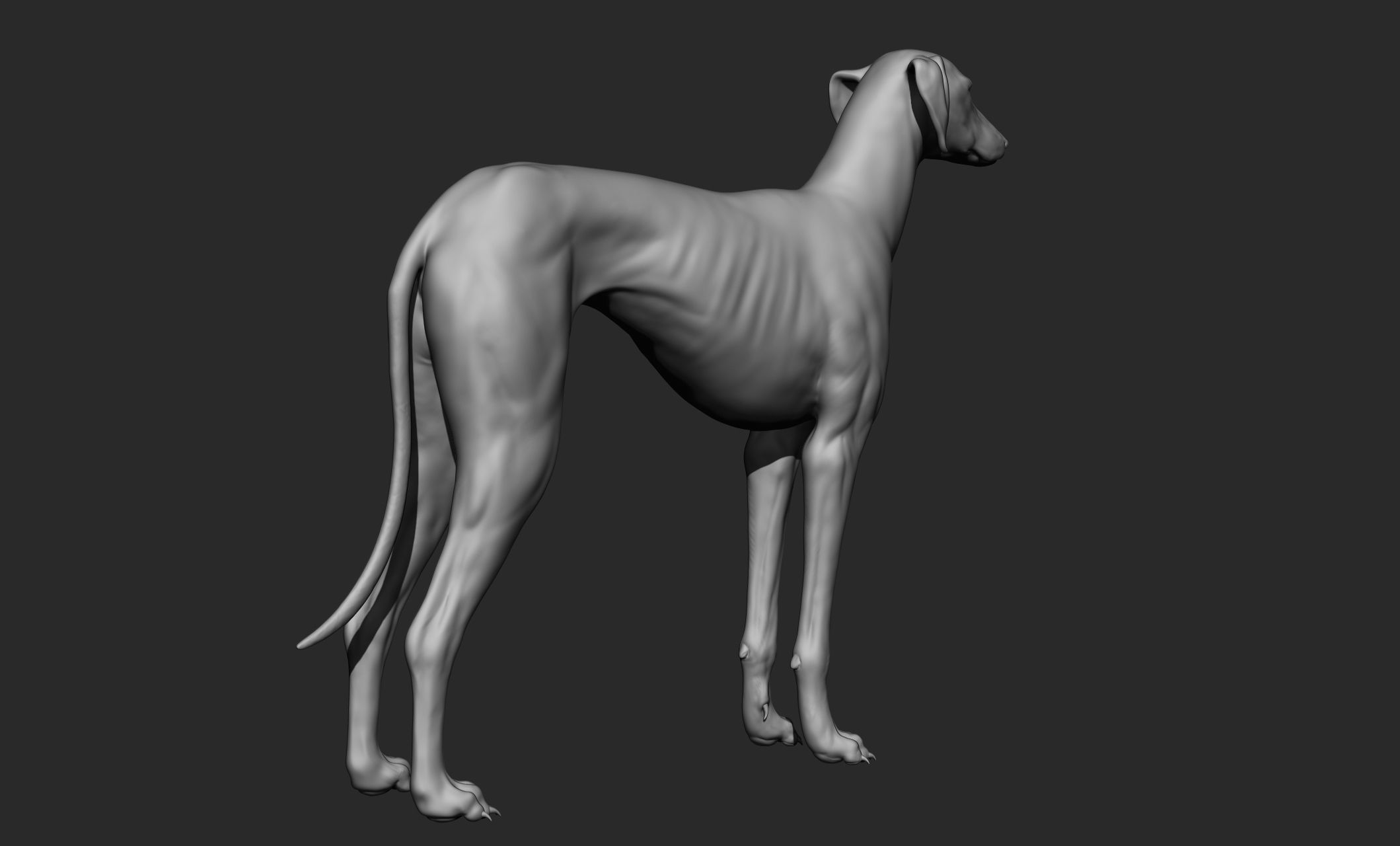 Domestic animal collection 3D model_87
