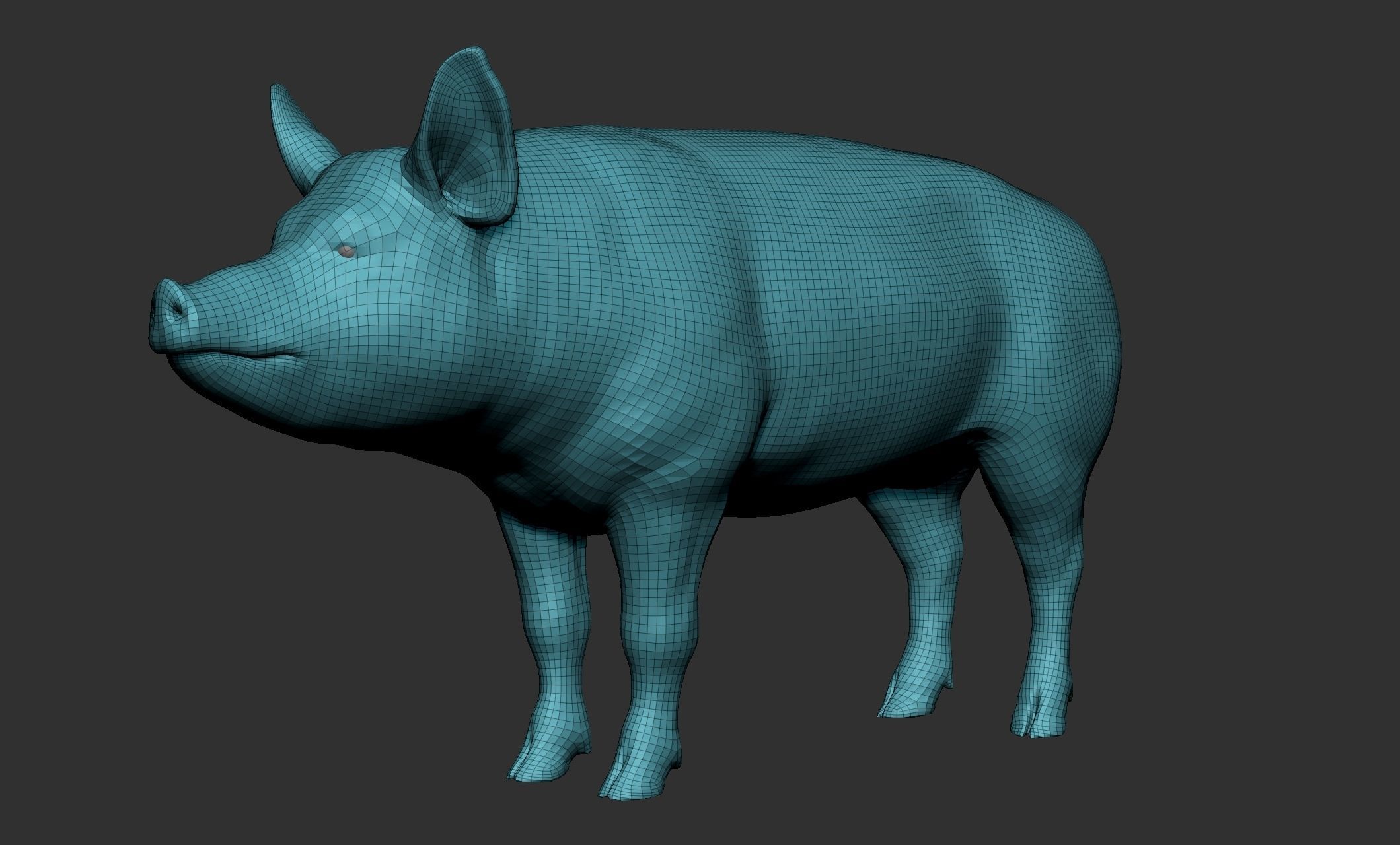 Domestic animal collection 3D model_101