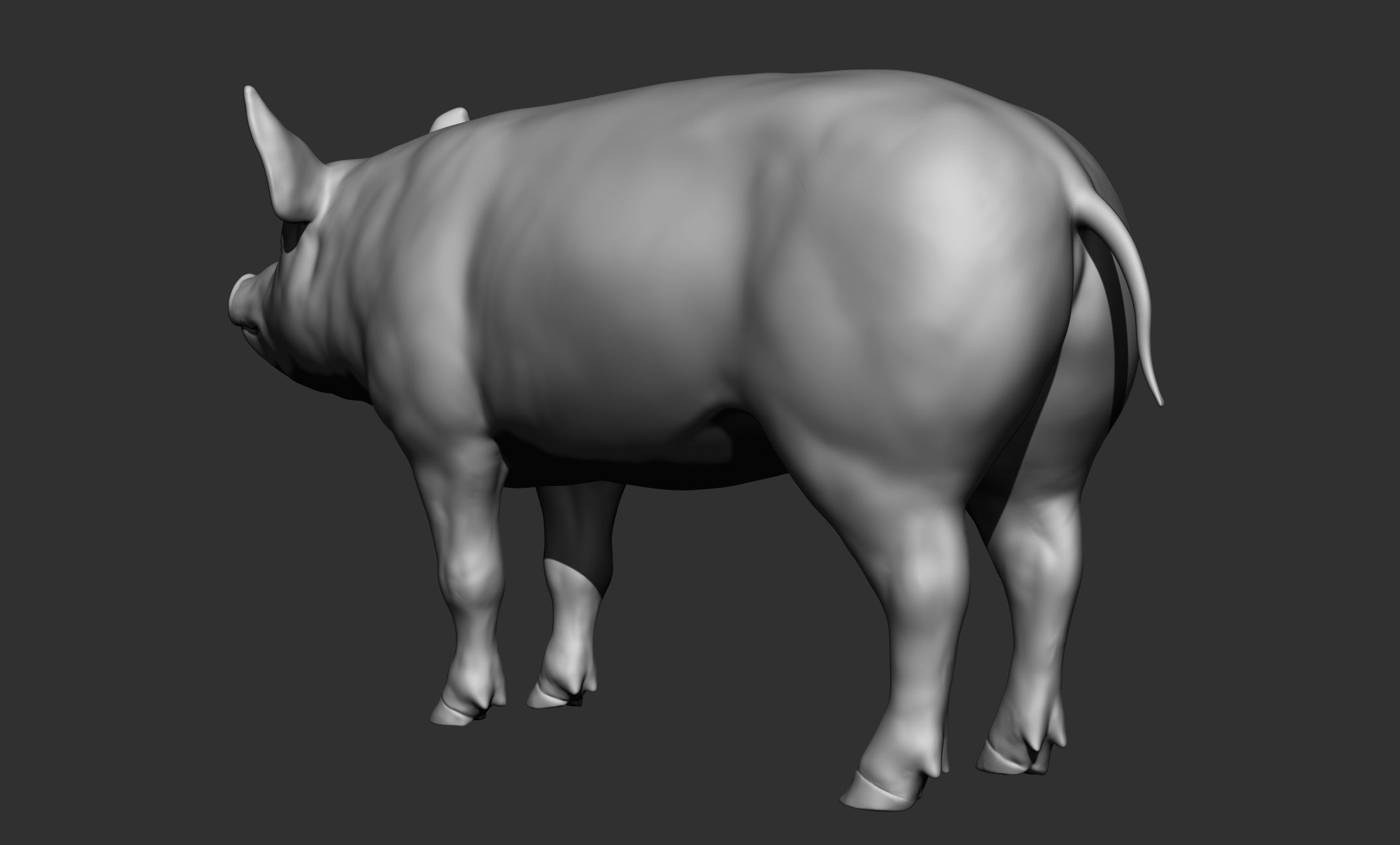 Domestic animal collection 3D model_96