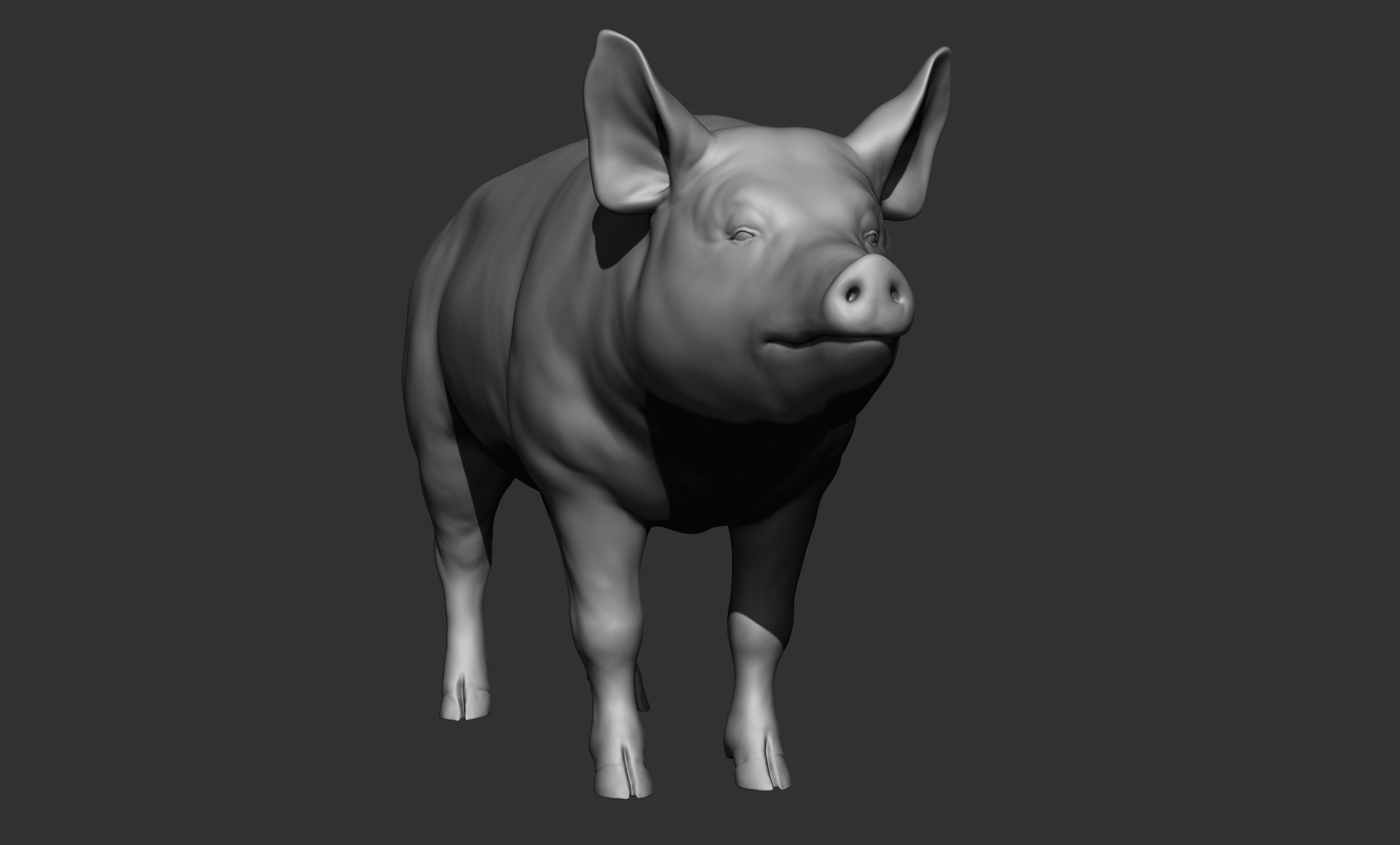Domestic animal collection 3D model_99