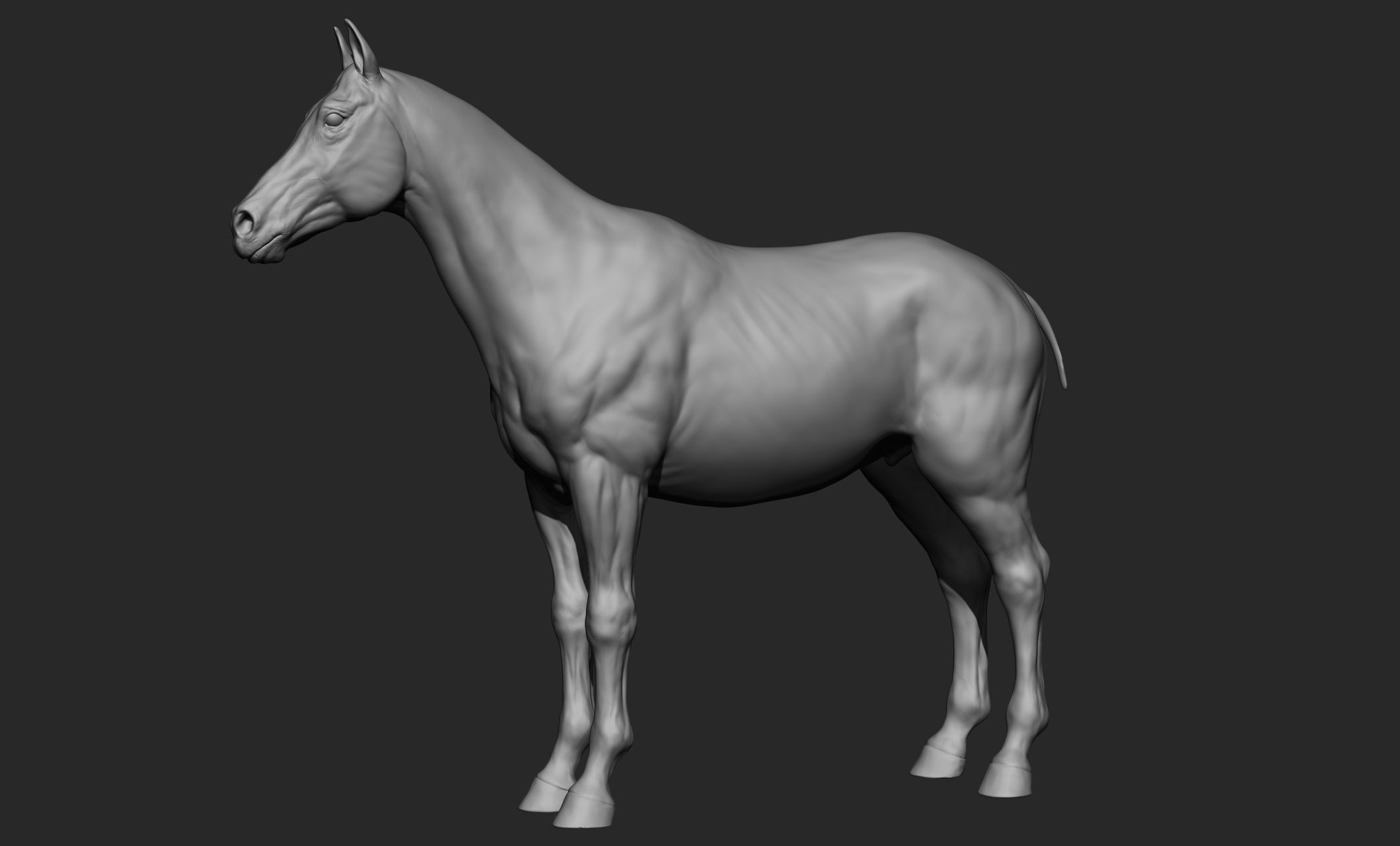 Domestic animal collection 3D model_10
