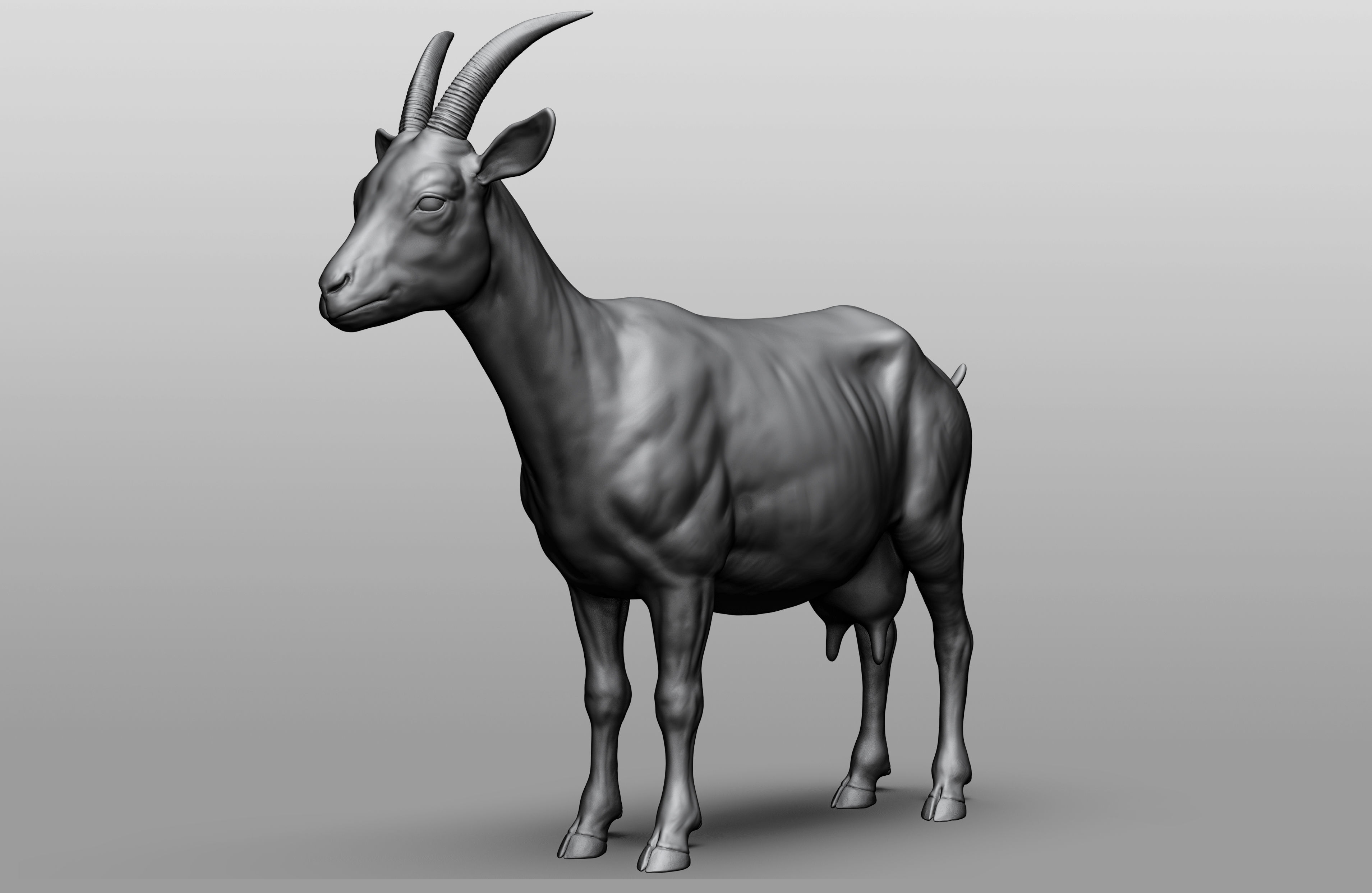 Domestic animal collection 3D model_6