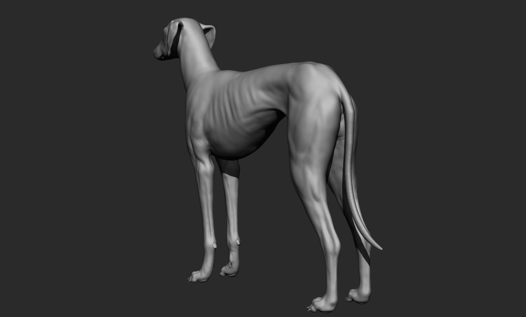 Domestic animal collection 3D model_86