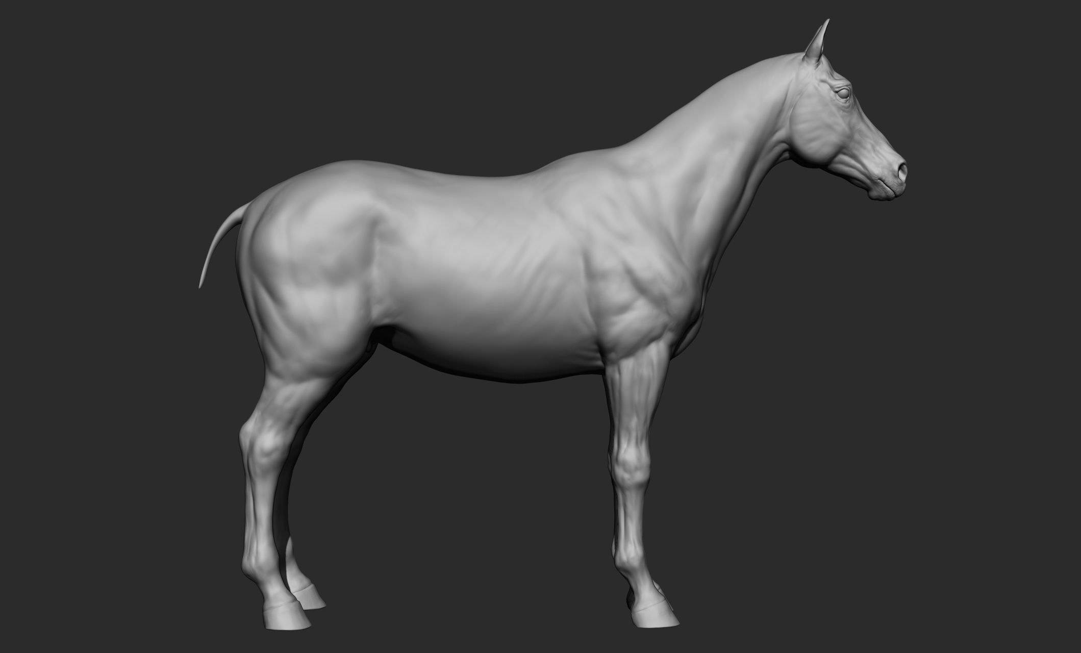 Domestic animal collection 3D model_14