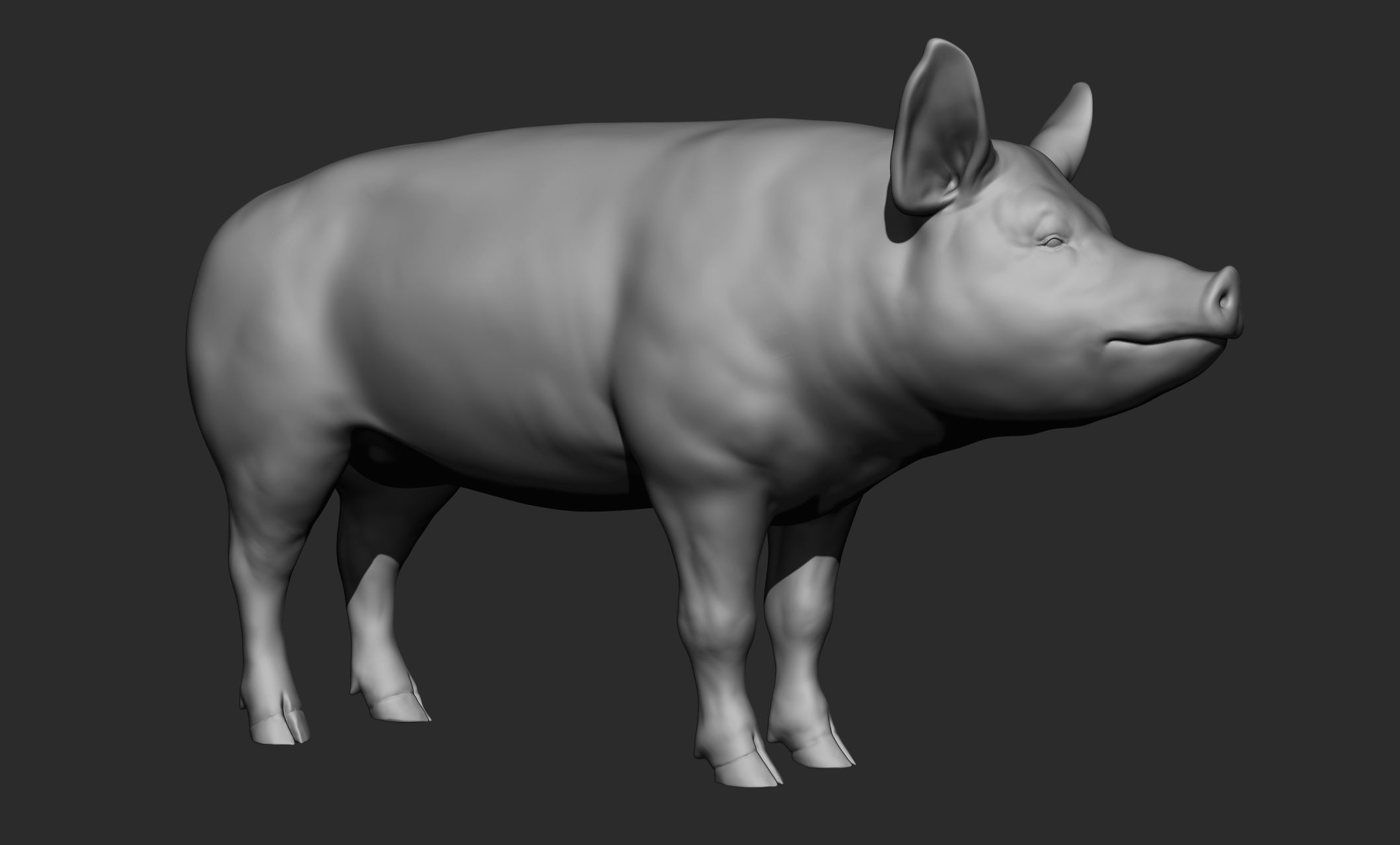 Domestic animal collection 3D model_98