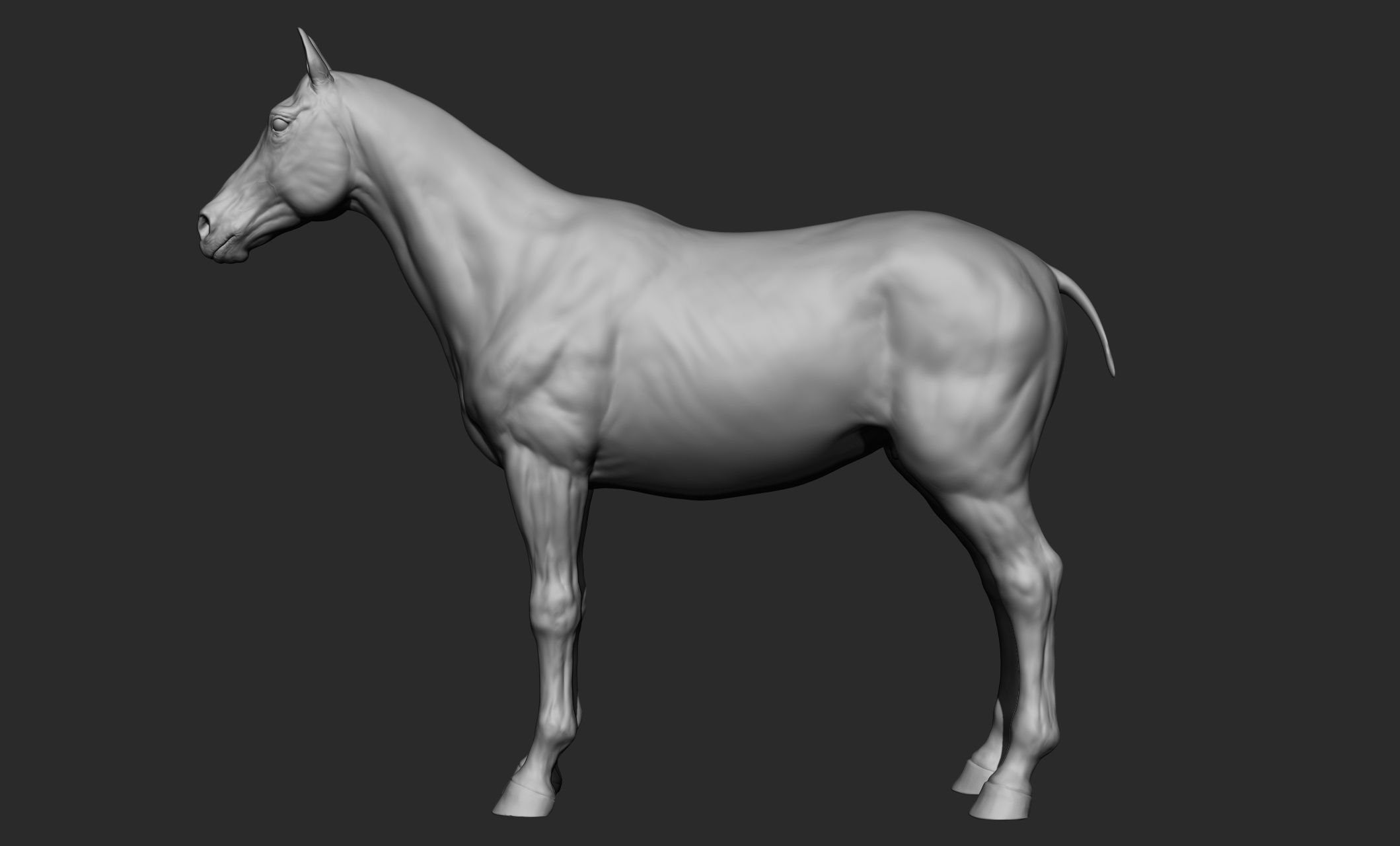 Domestic animal collection 3D model_11