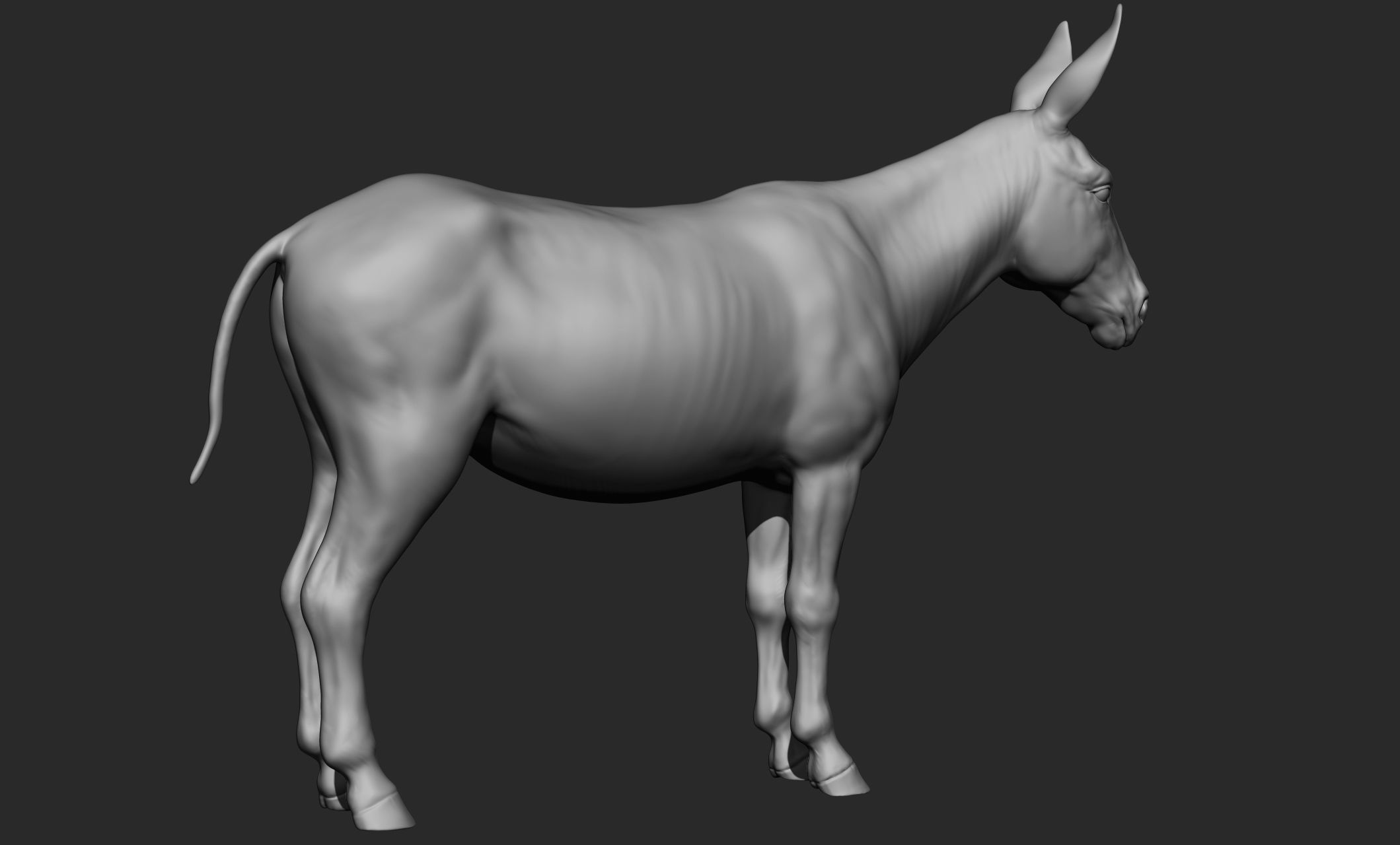 Domestic animal collection 3D model_62