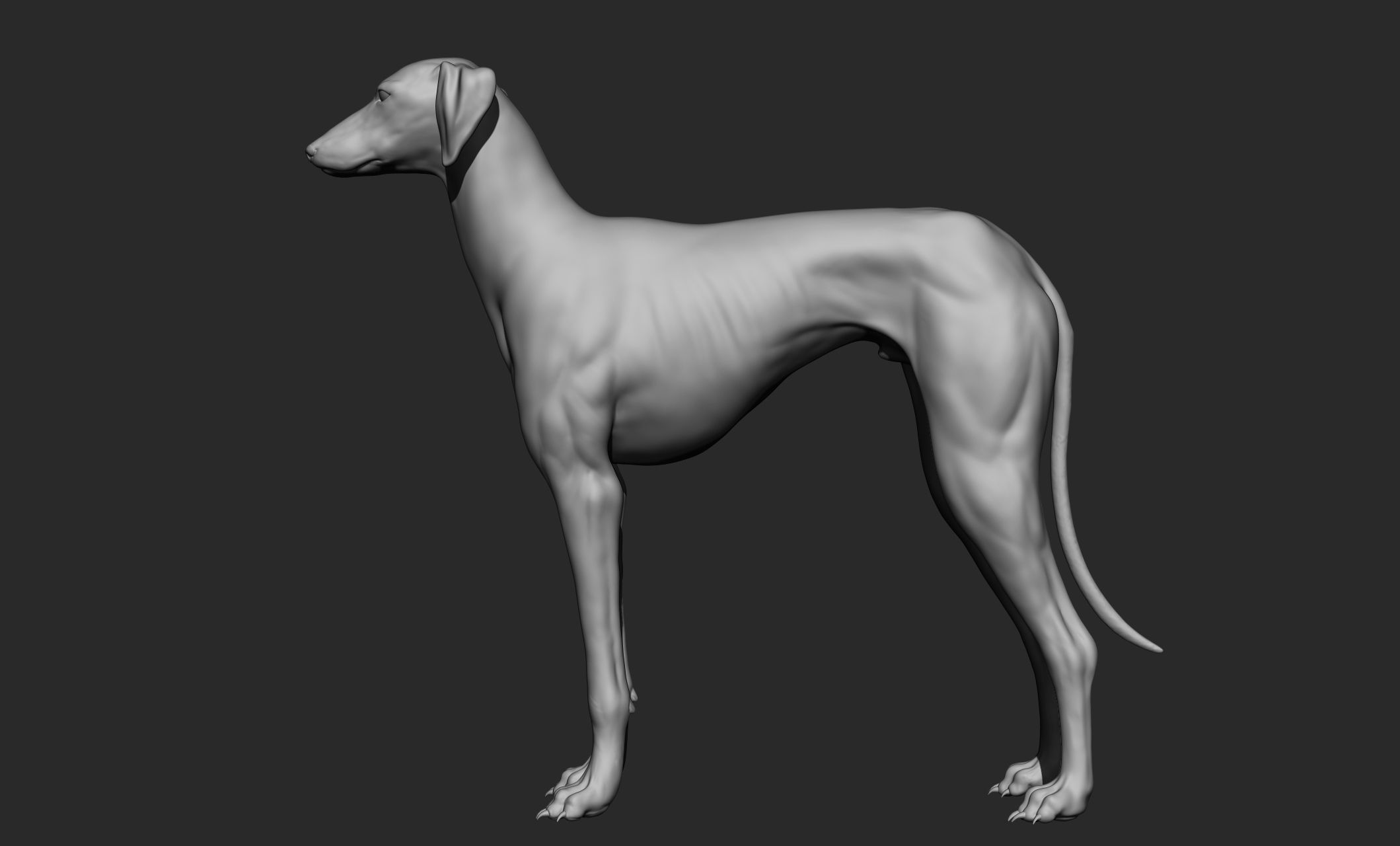 Domestic animal collection 3D model_85