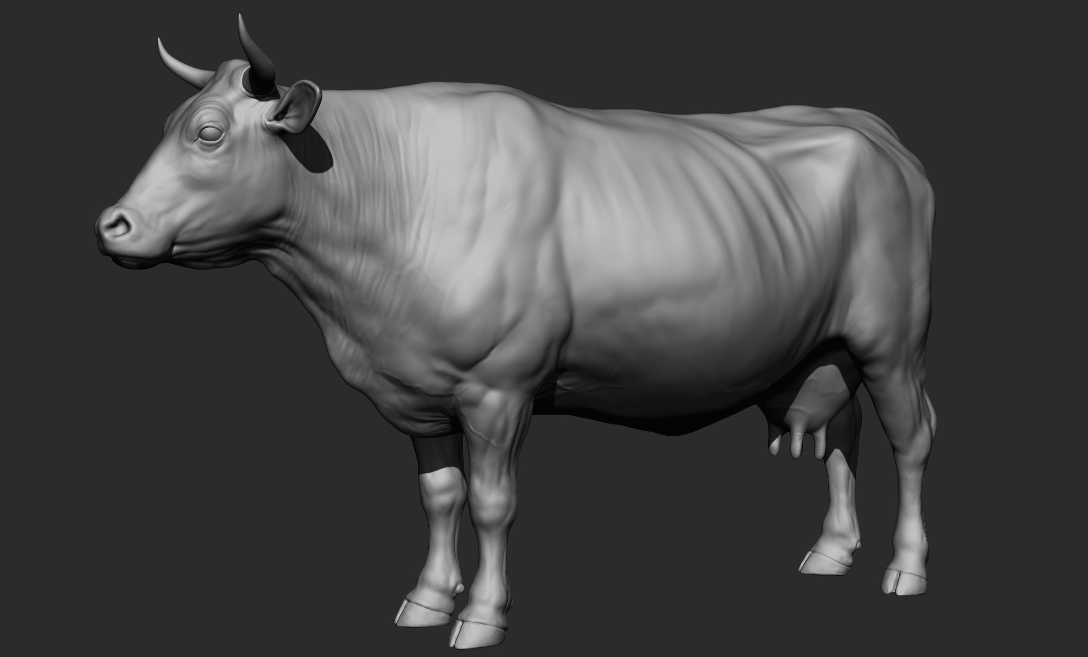 Domestic animal collection 3D model_39
