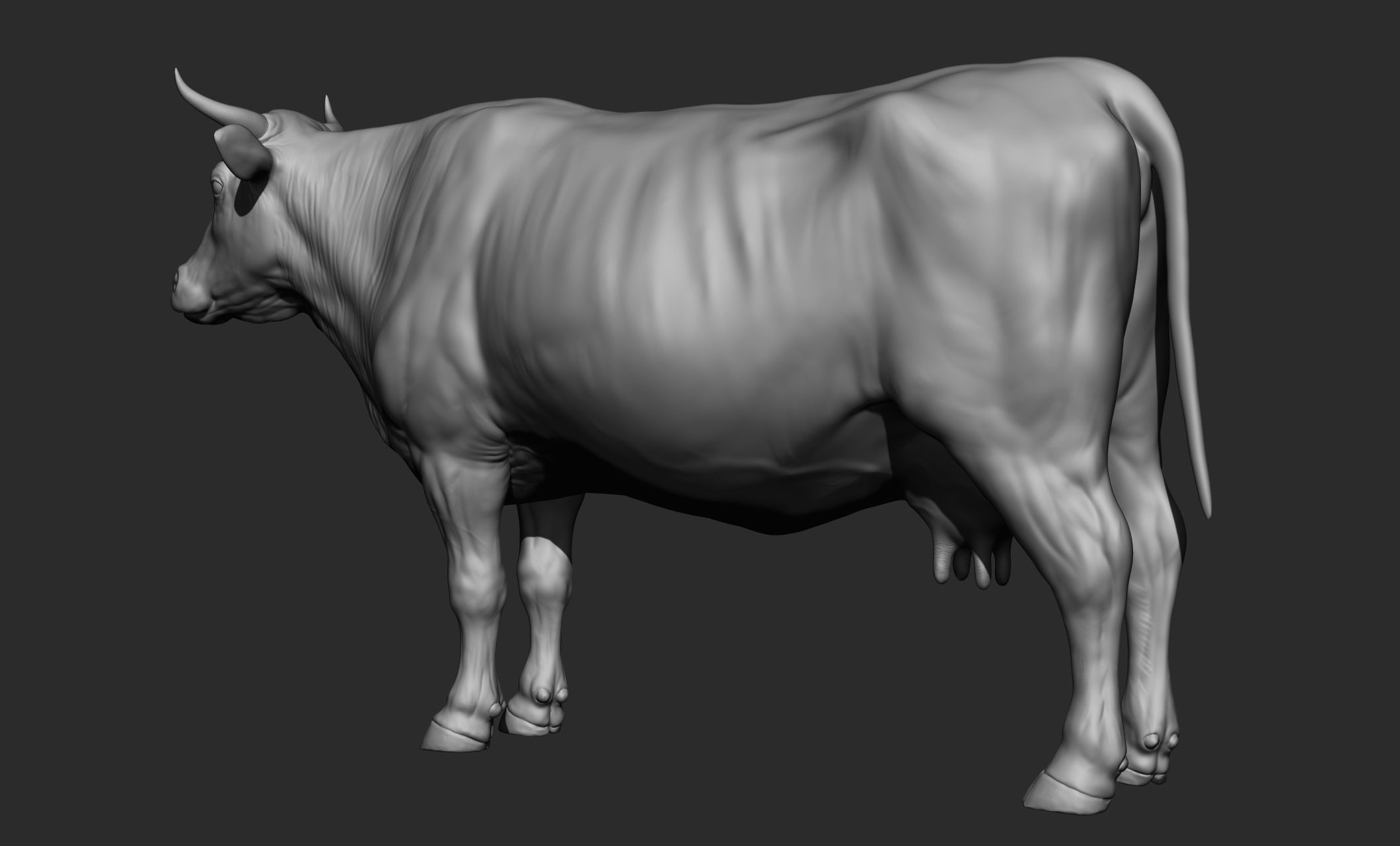 Domestic animal collection 3D model_41