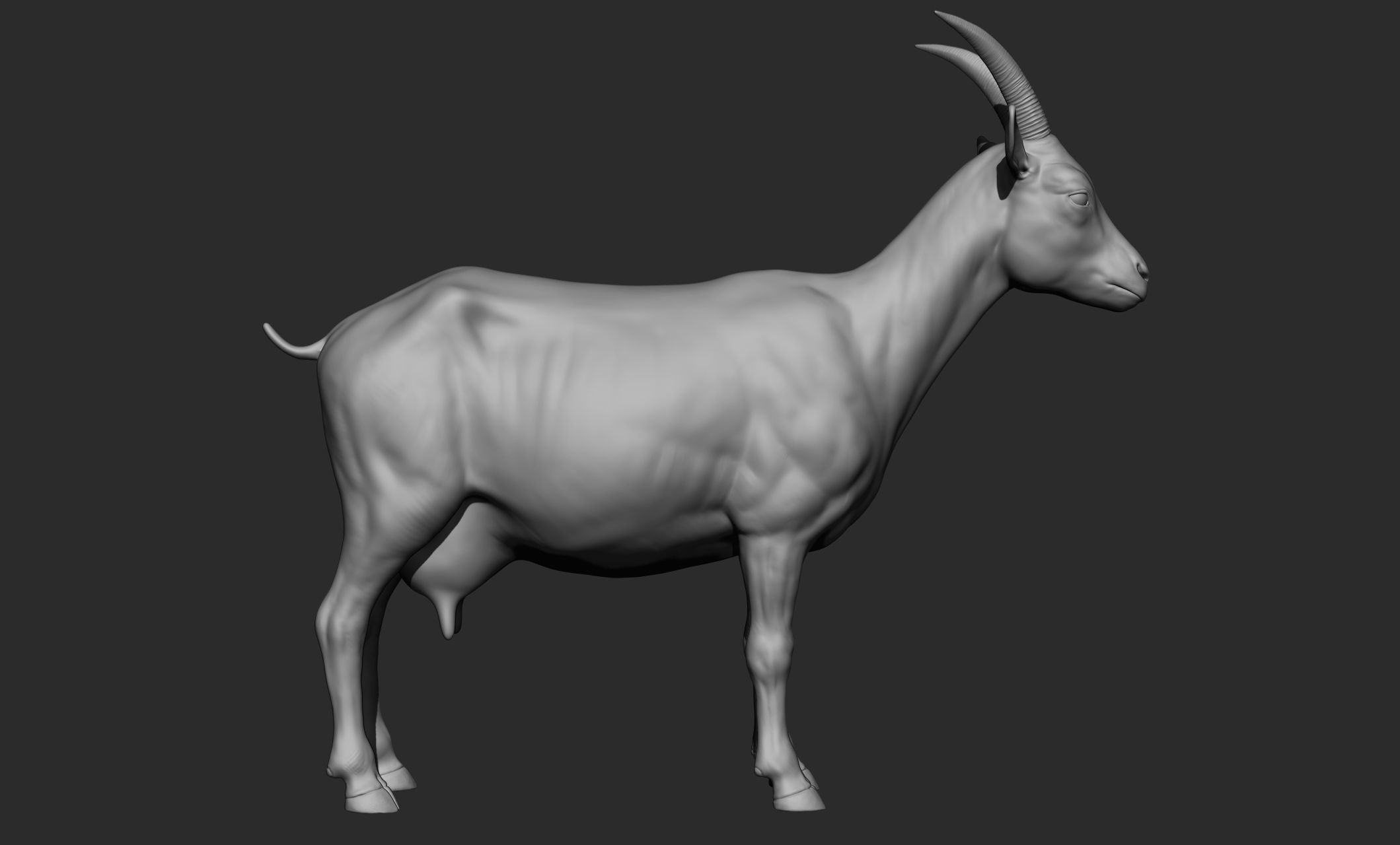 Domestic animal collection 3D model_80