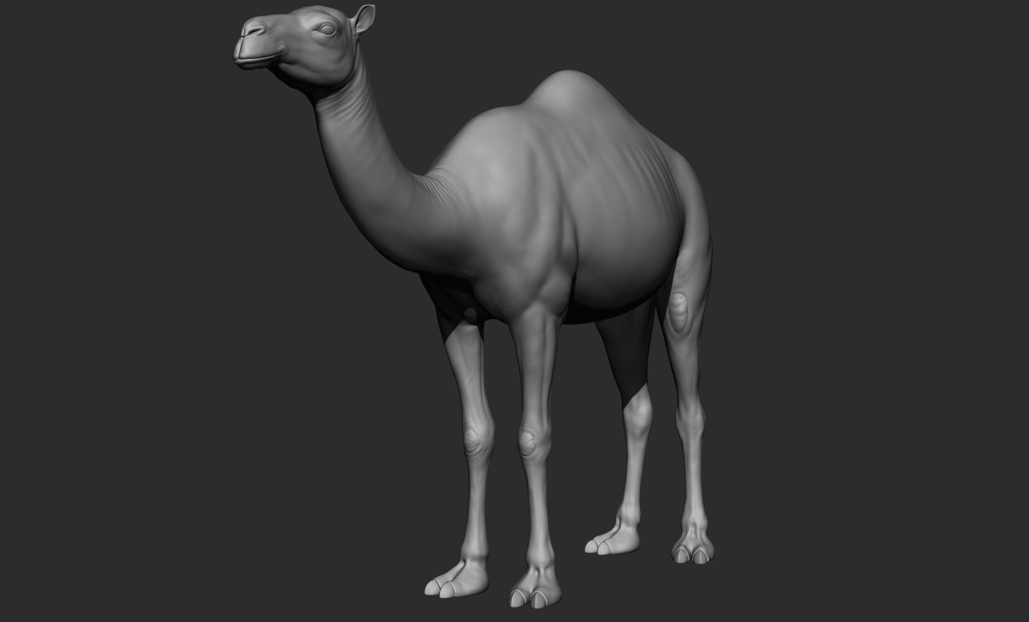 Domestic animal collection 3D model_48