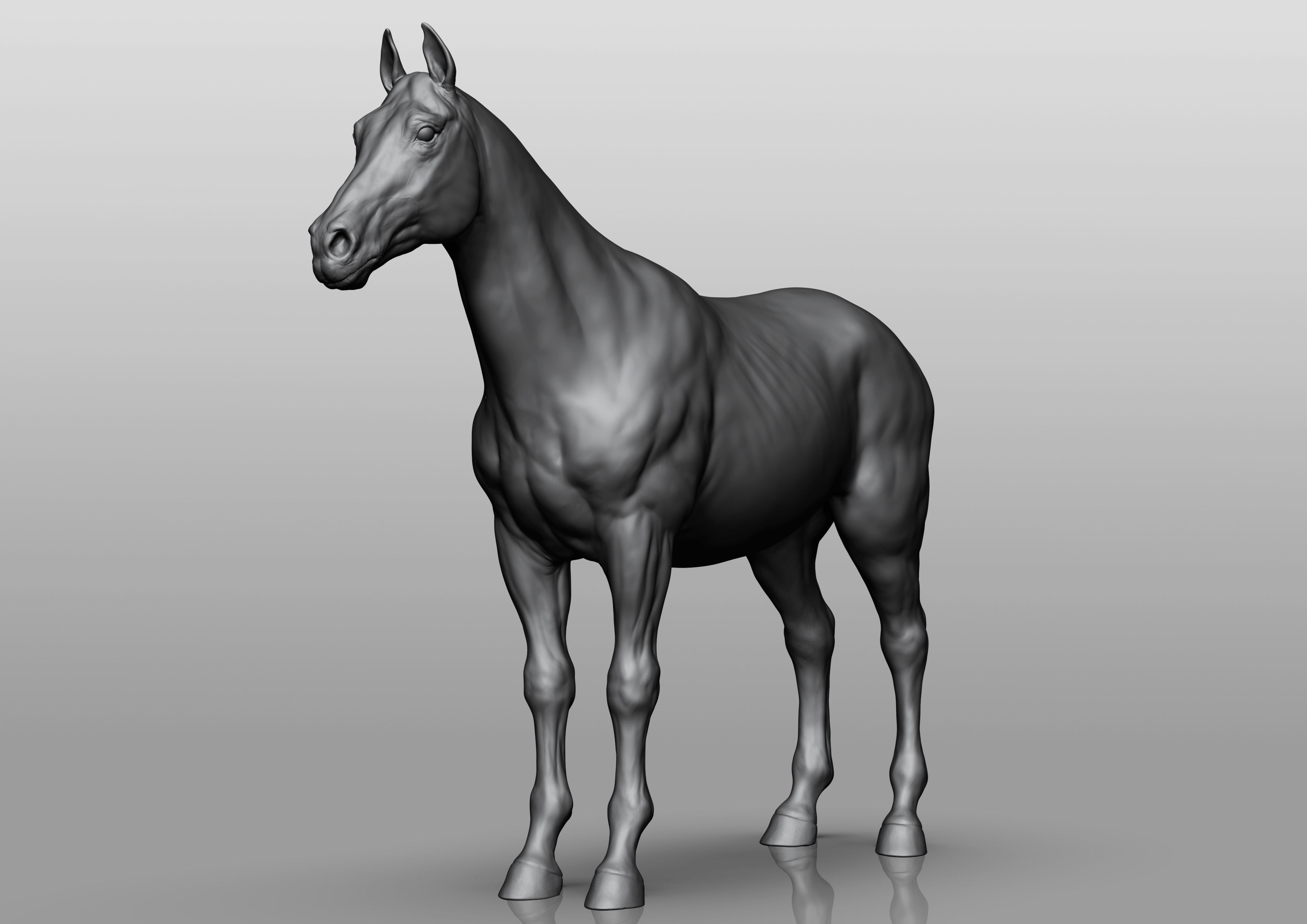 Domestic animal collection 3D model_1