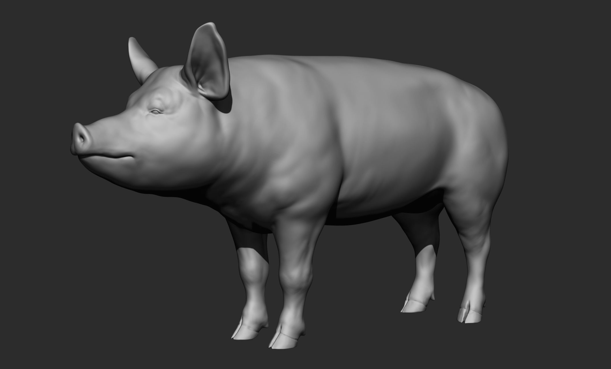 Domestic animal collection 3D model_94