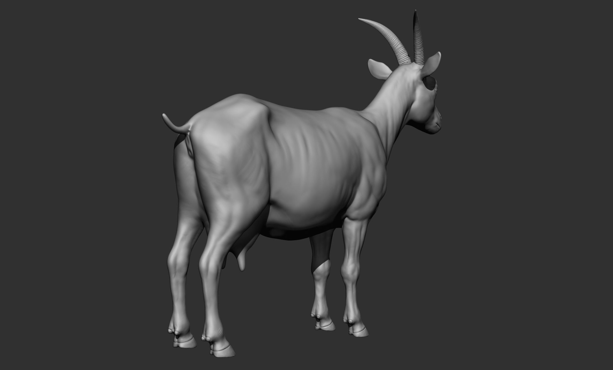 Domestic animal collection 3D model_79