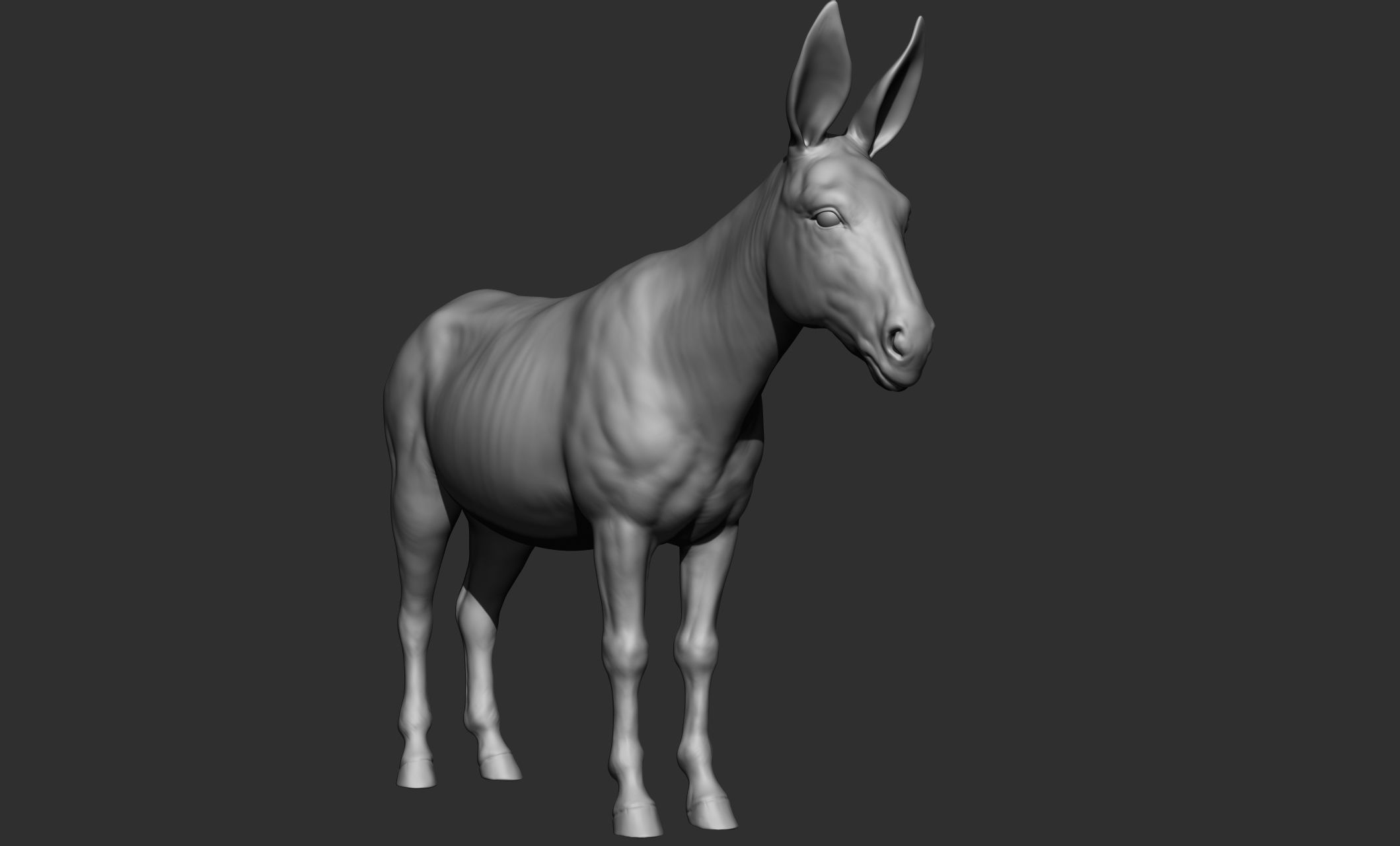 Domestic animal collection 3D model_64