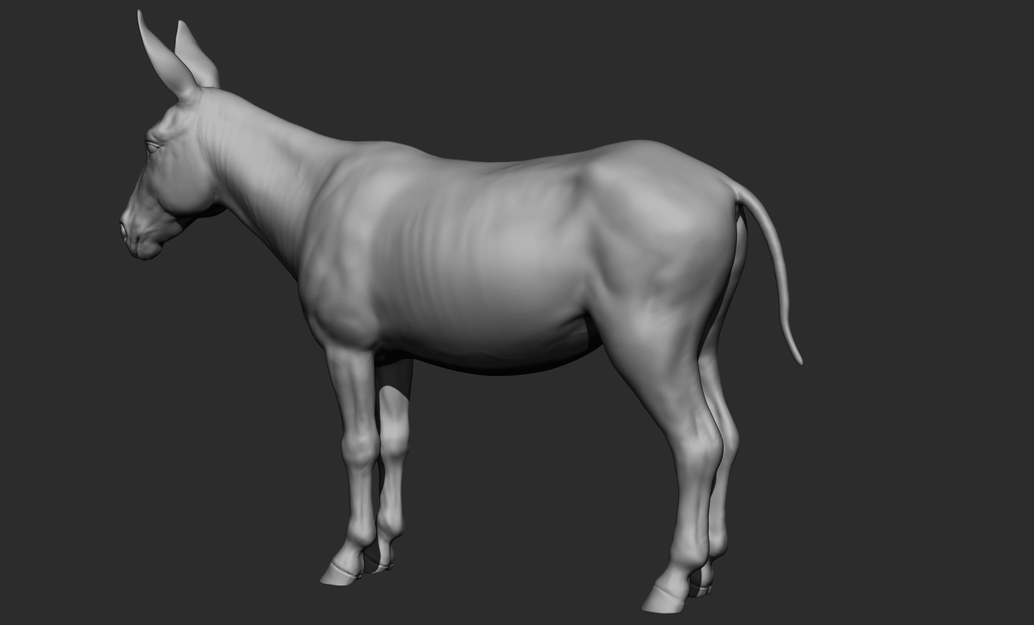 Domestic animal collection 3D model_60
