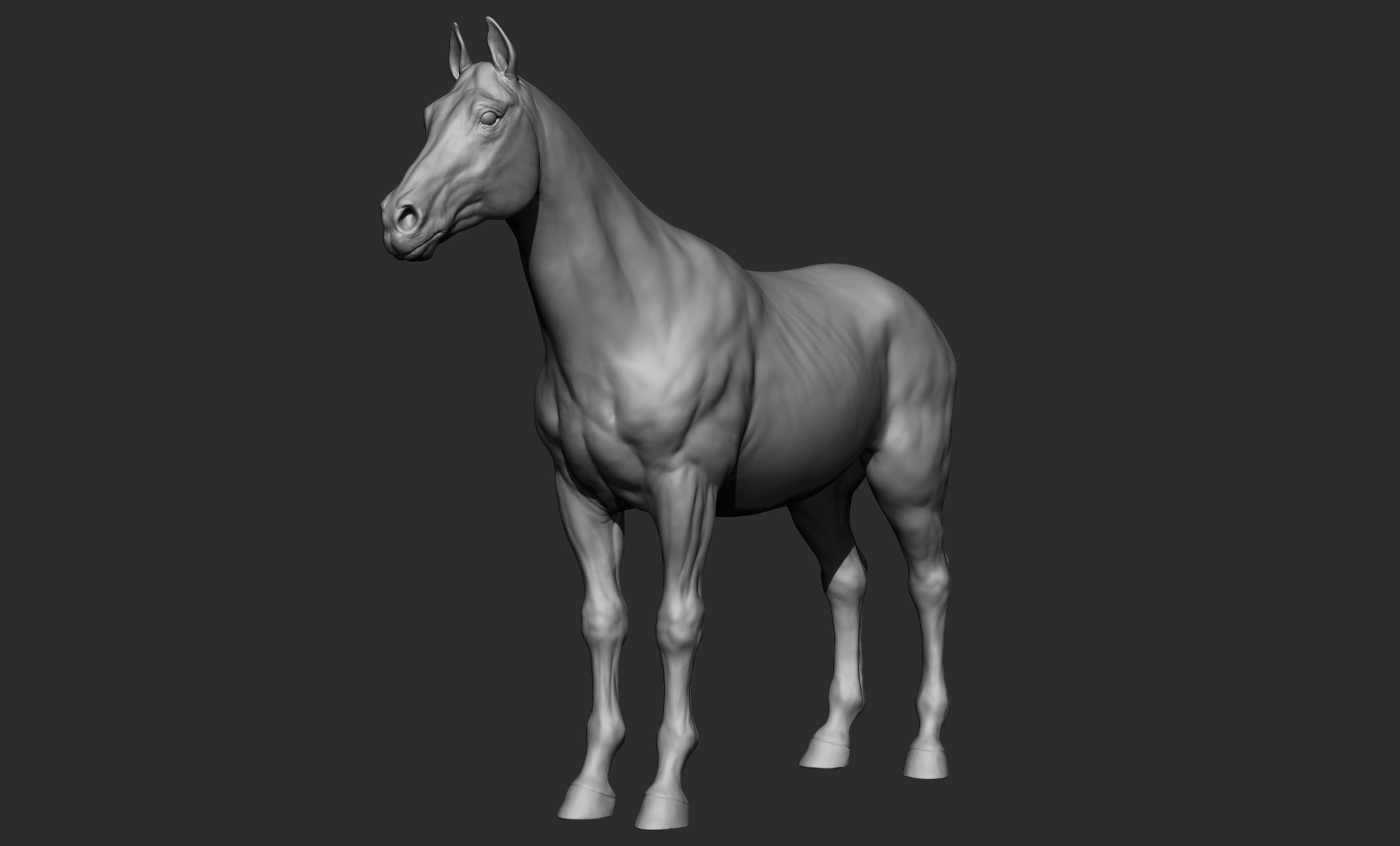 Domestic animal collection 3D model_9