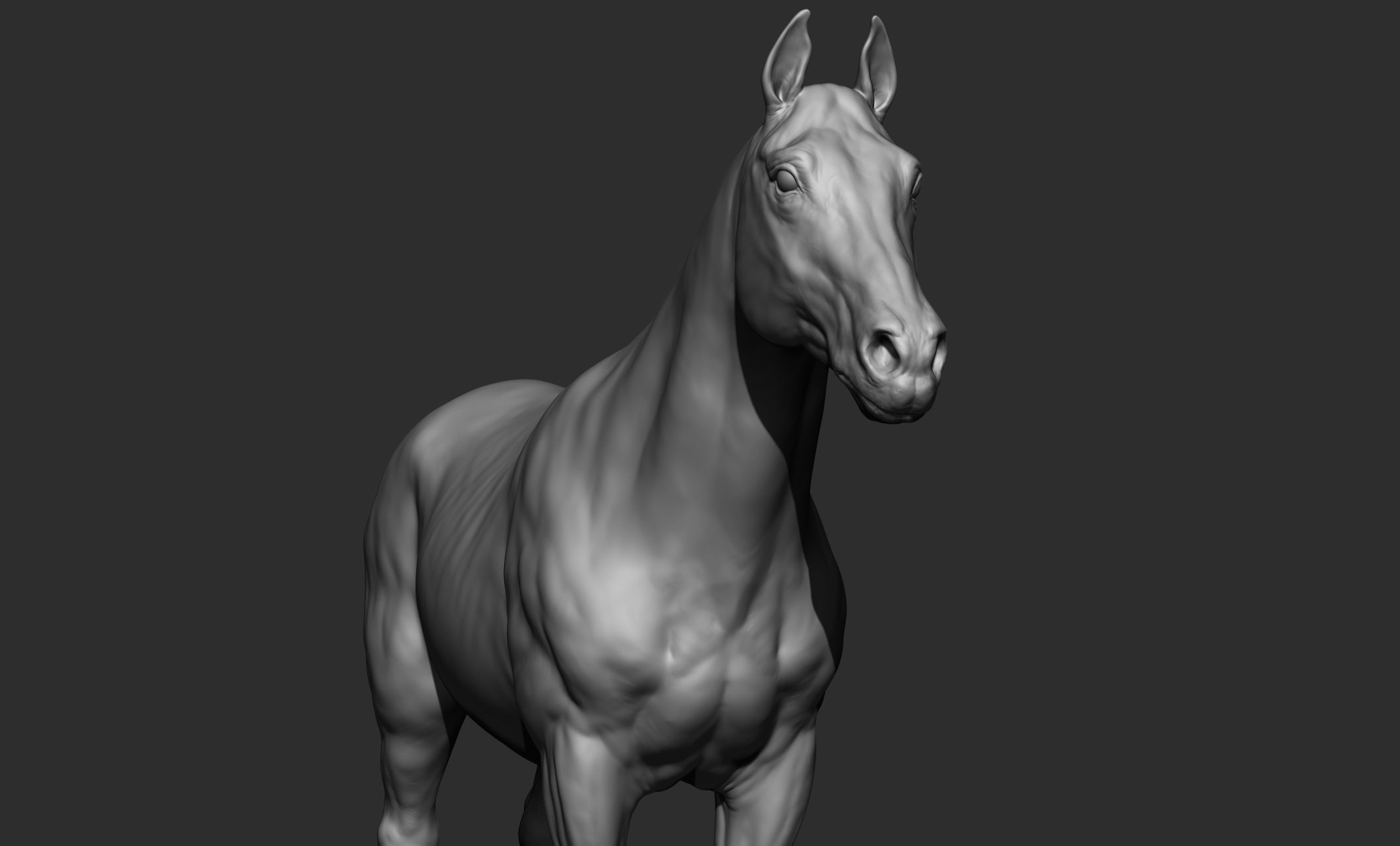 Domestic animal collection 3D model_17