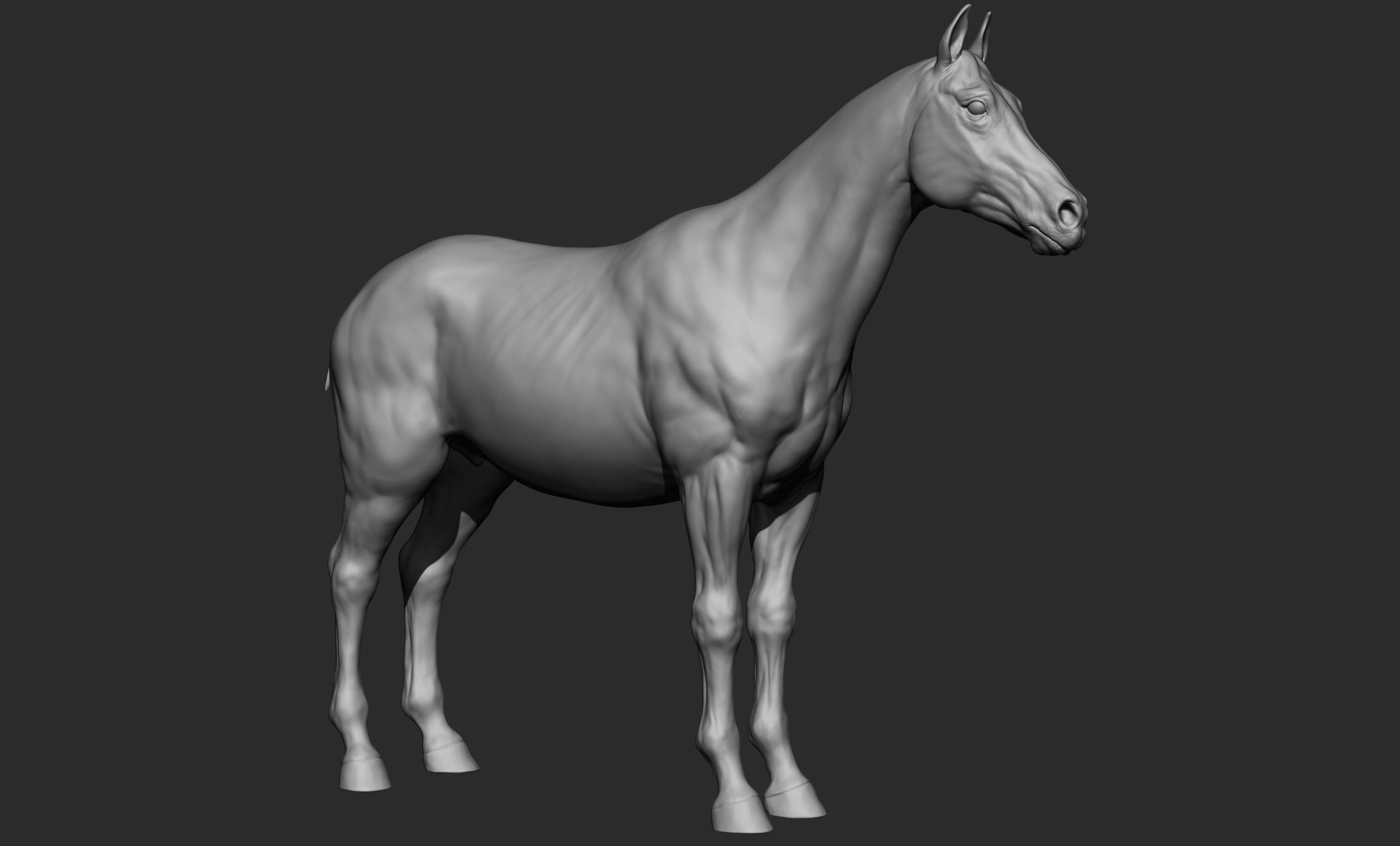 Domestic animal collection 3D model_15