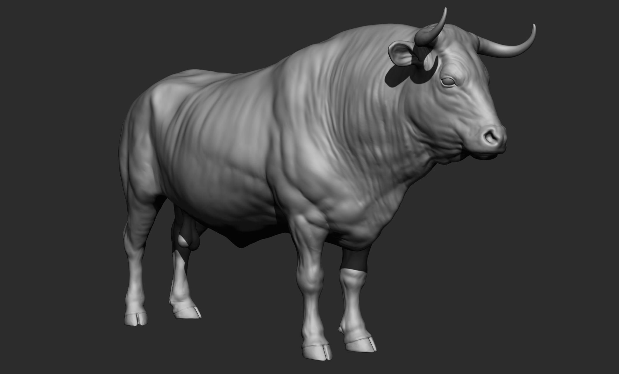 Domestic animal collection 3D model_33