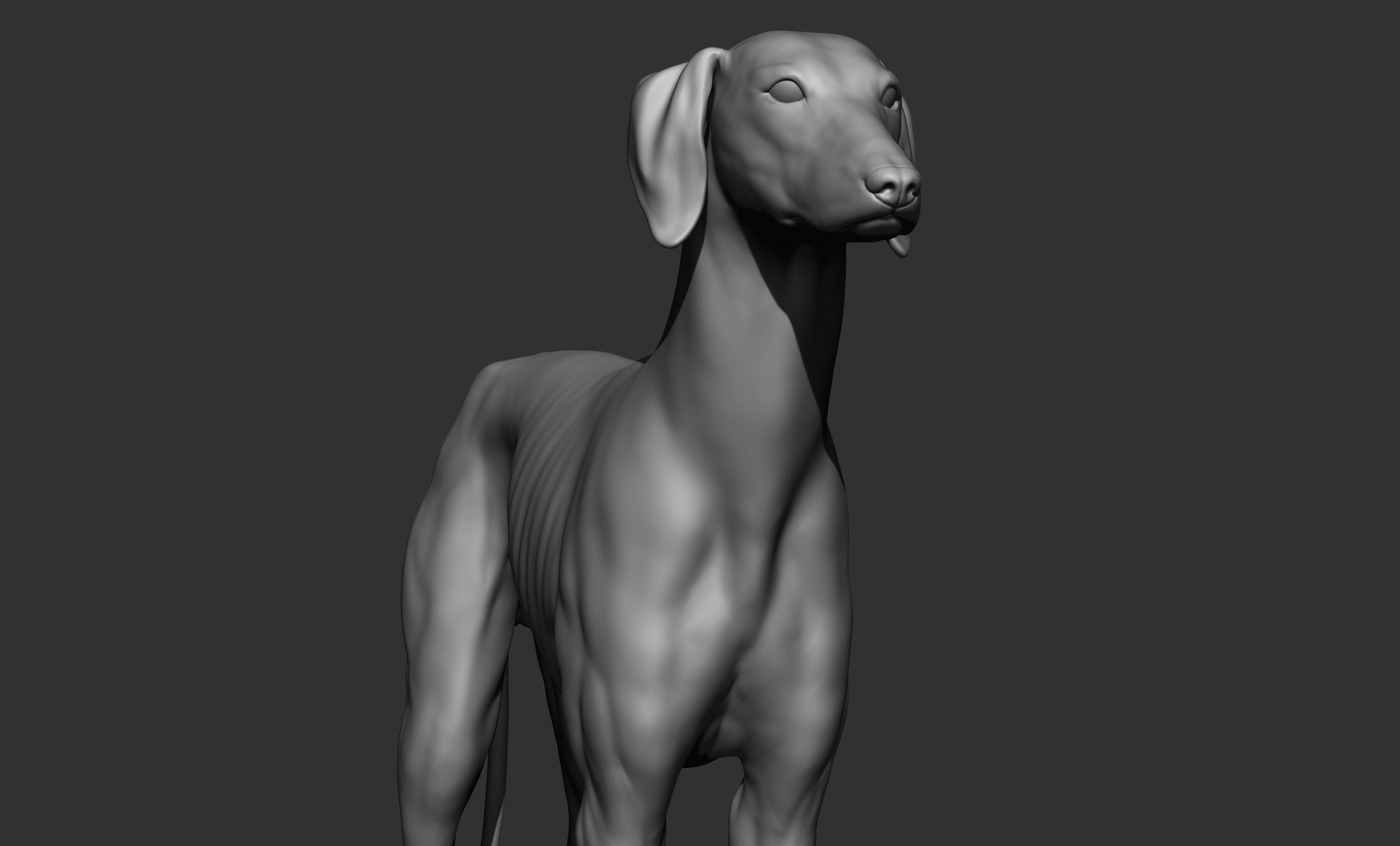 Domestic animal collection 3D model_90