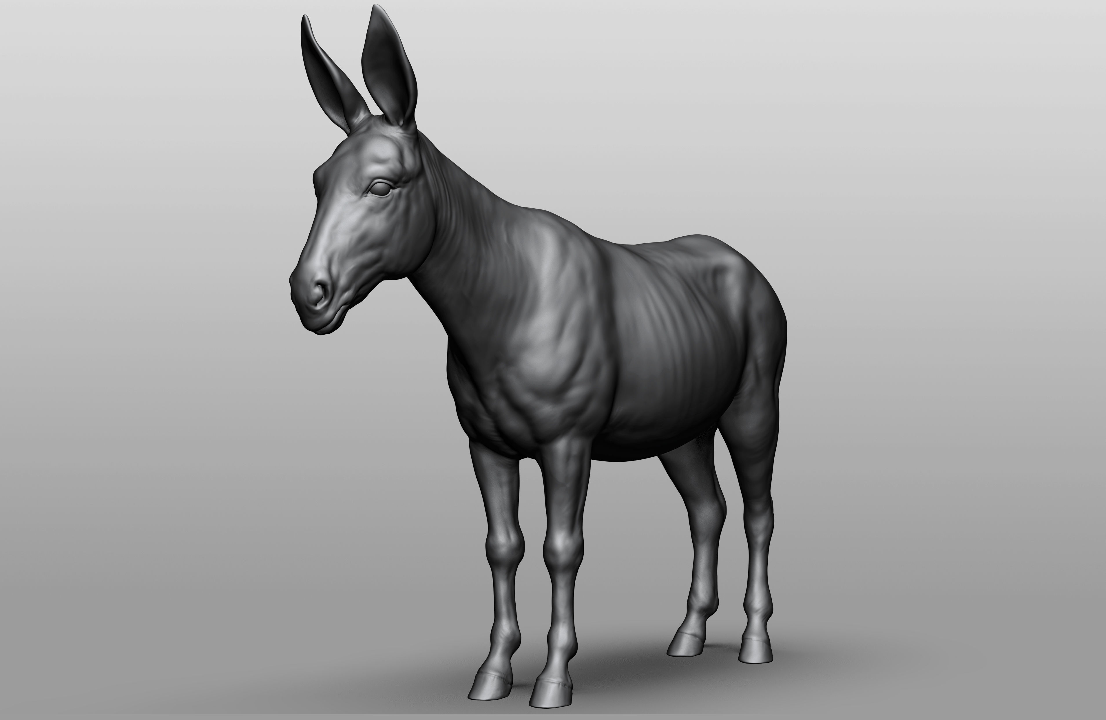 Domestic animal collection 3D model_7