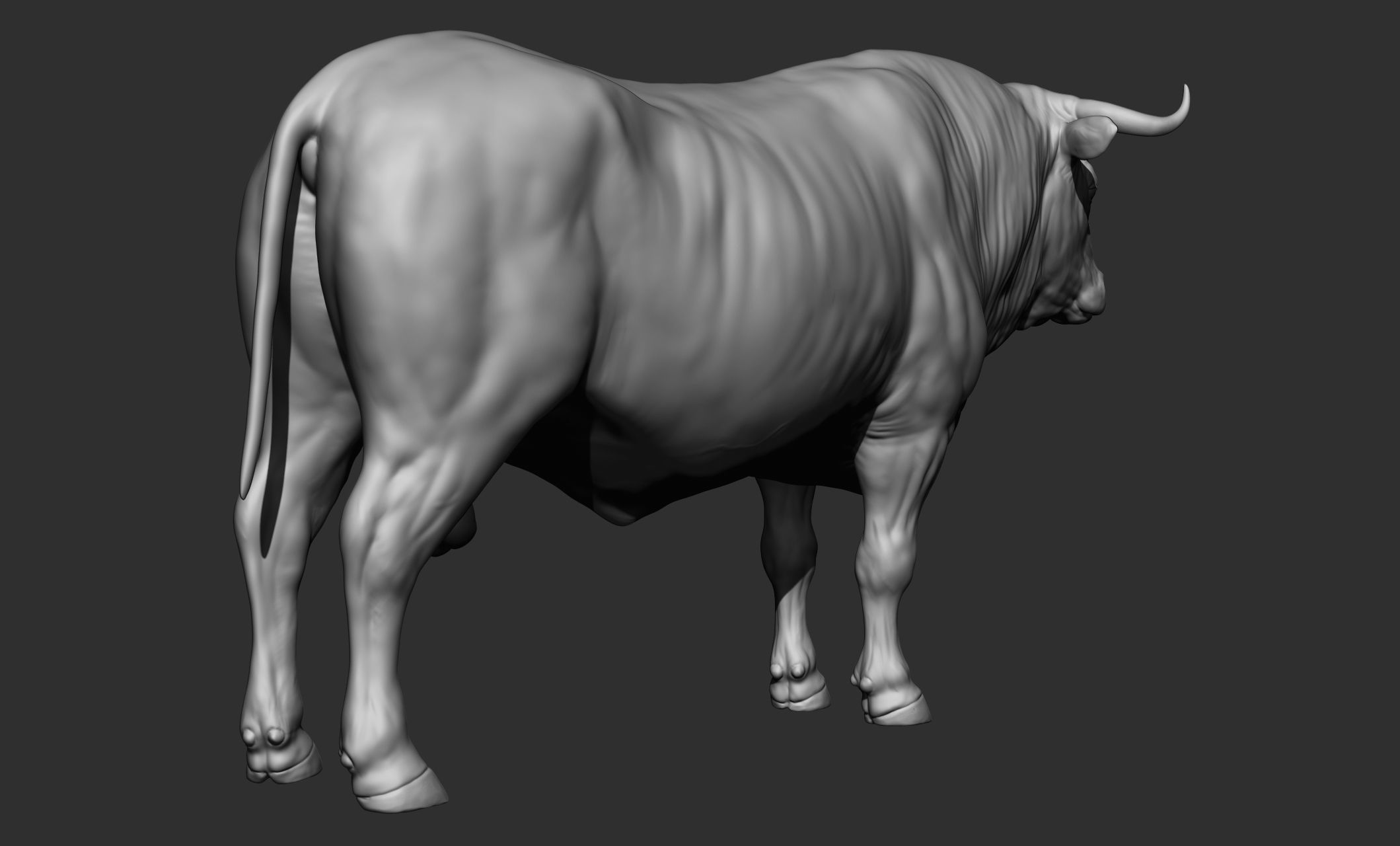 Domestic animal collection 3D model_31