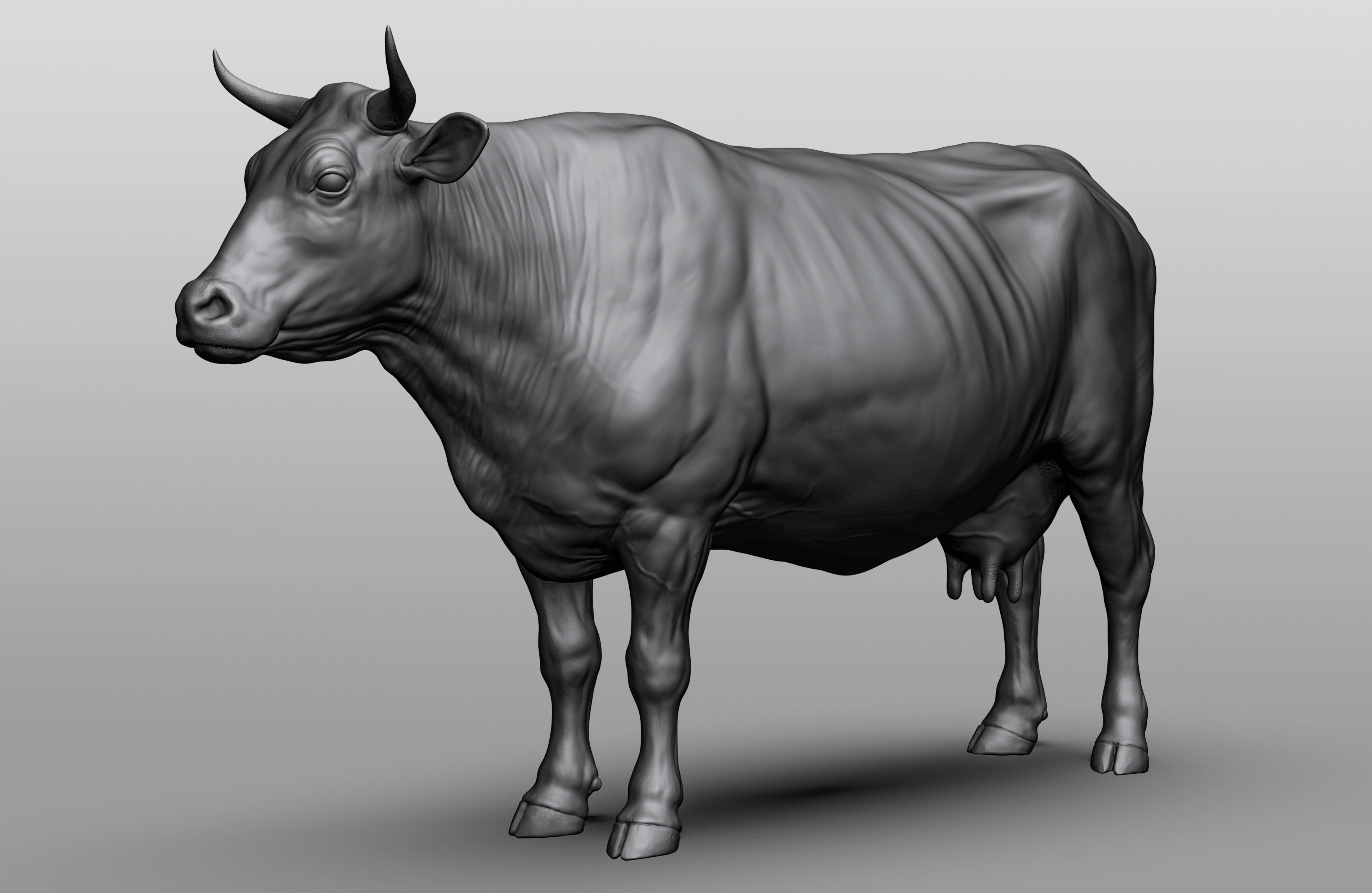 Domestic animal collection 3D model_3