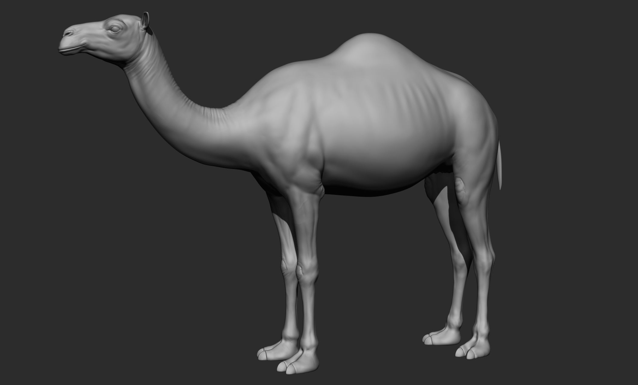 Domestic animal collection 3D model_49