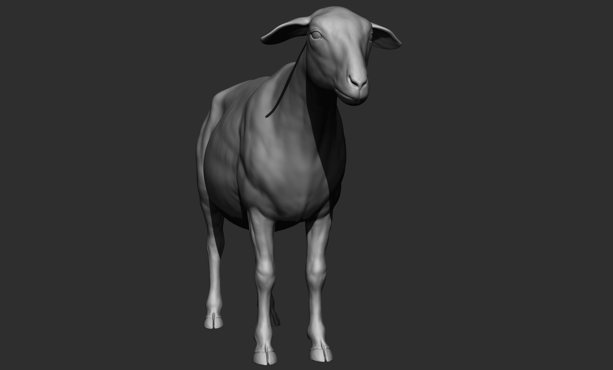Domestic animal collection 3D model_73