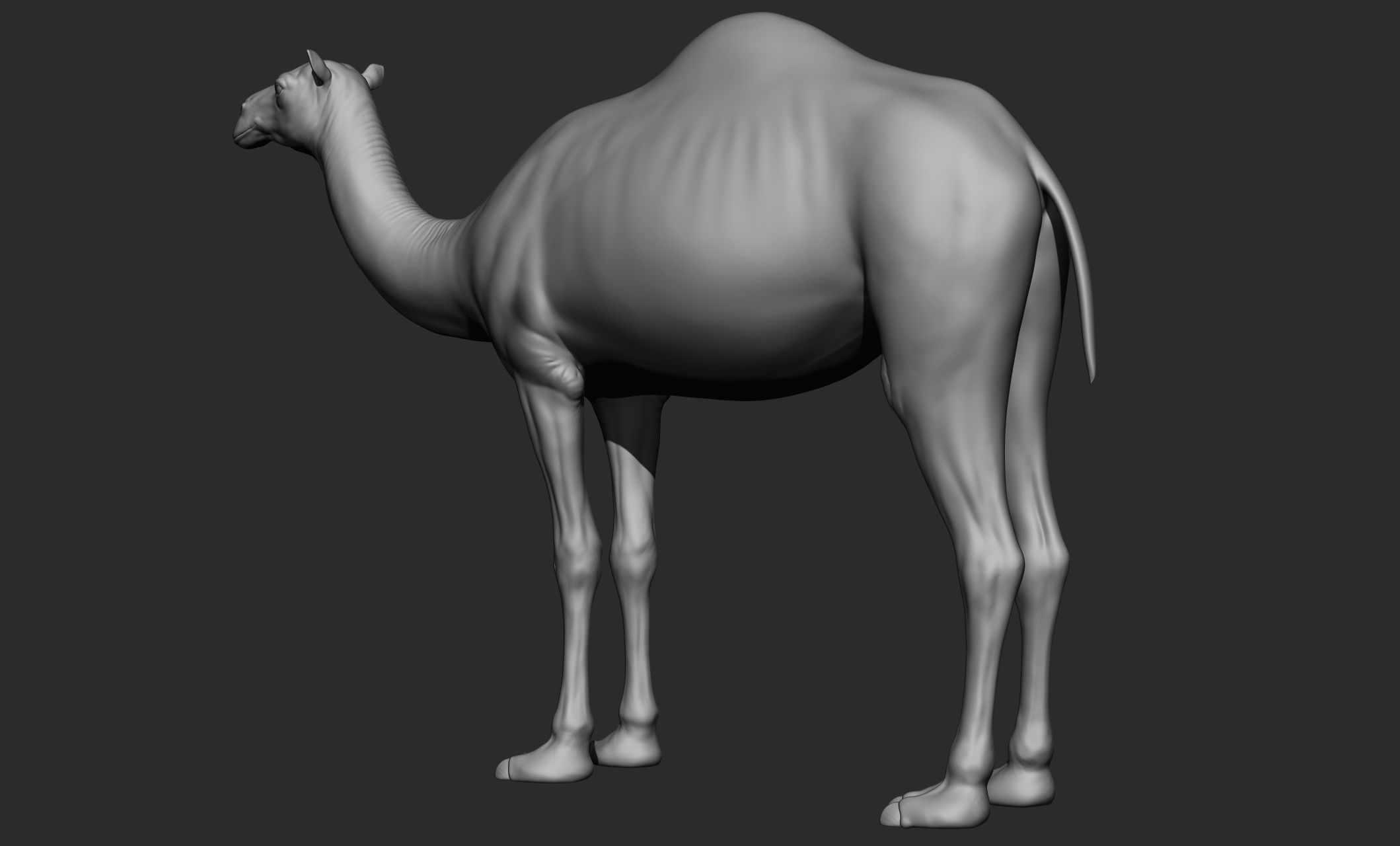 Domestic animal collection 3D model_51