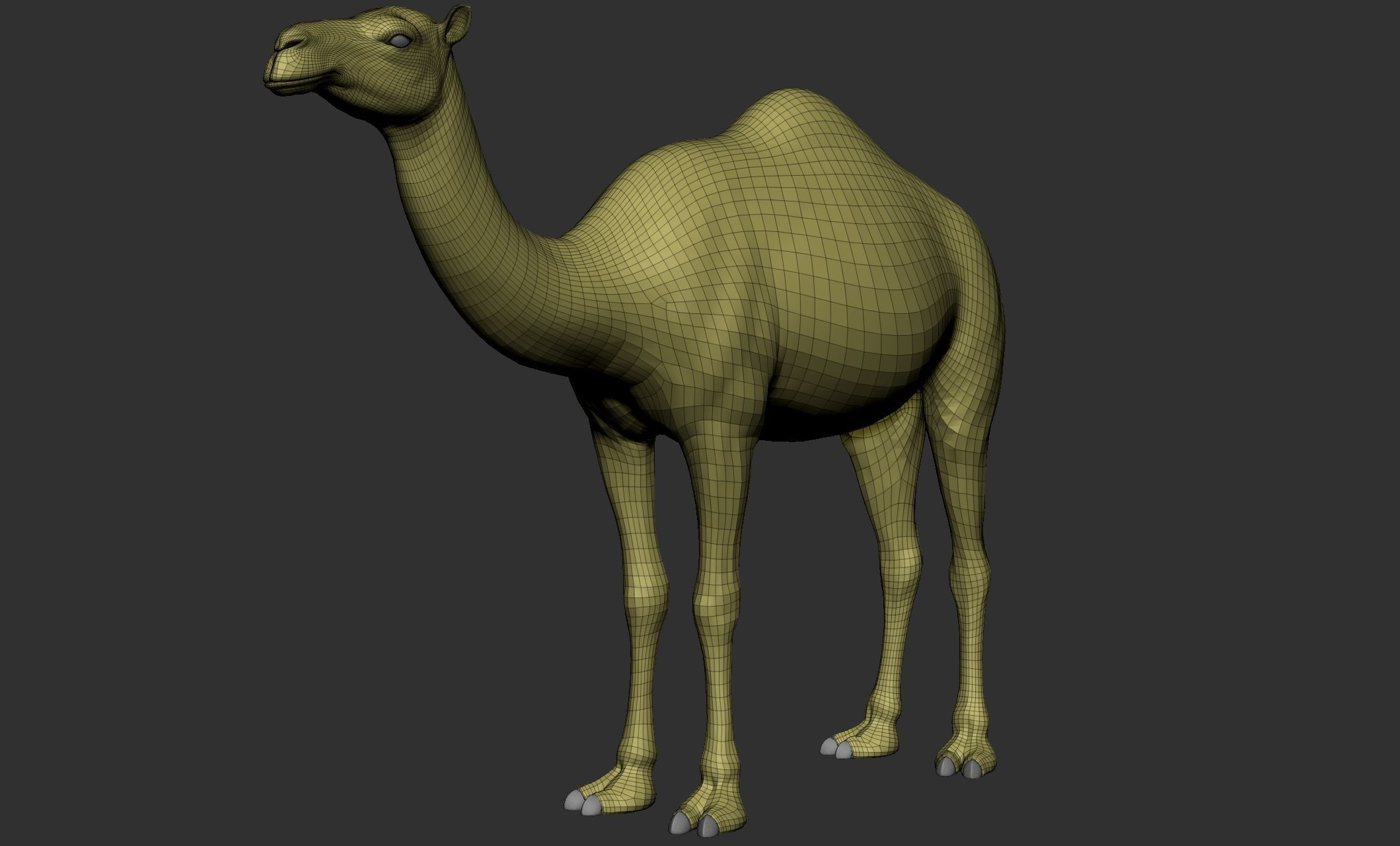 Domestic animal collection 3D model_57