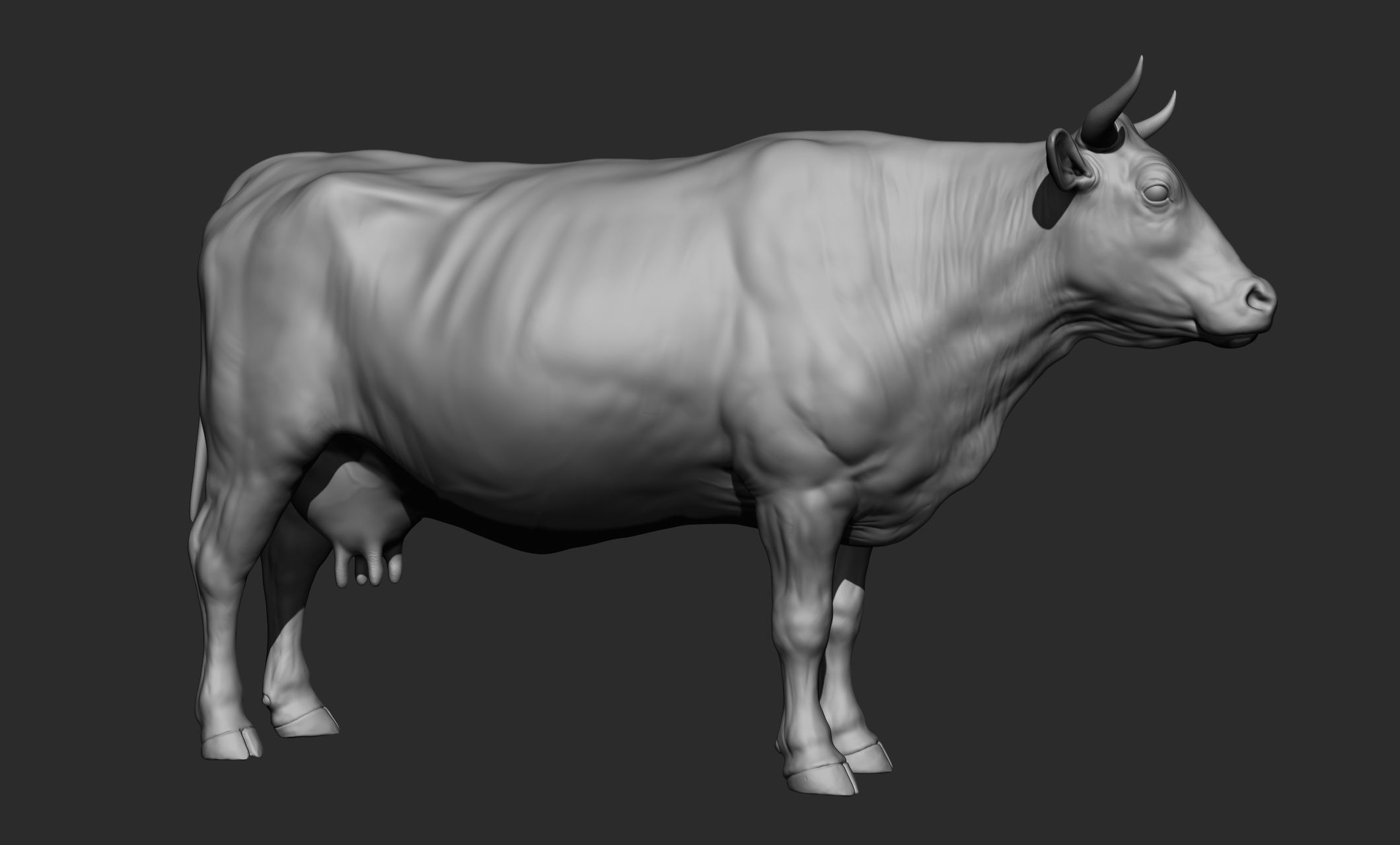 Domestic animal collection 3D model_44